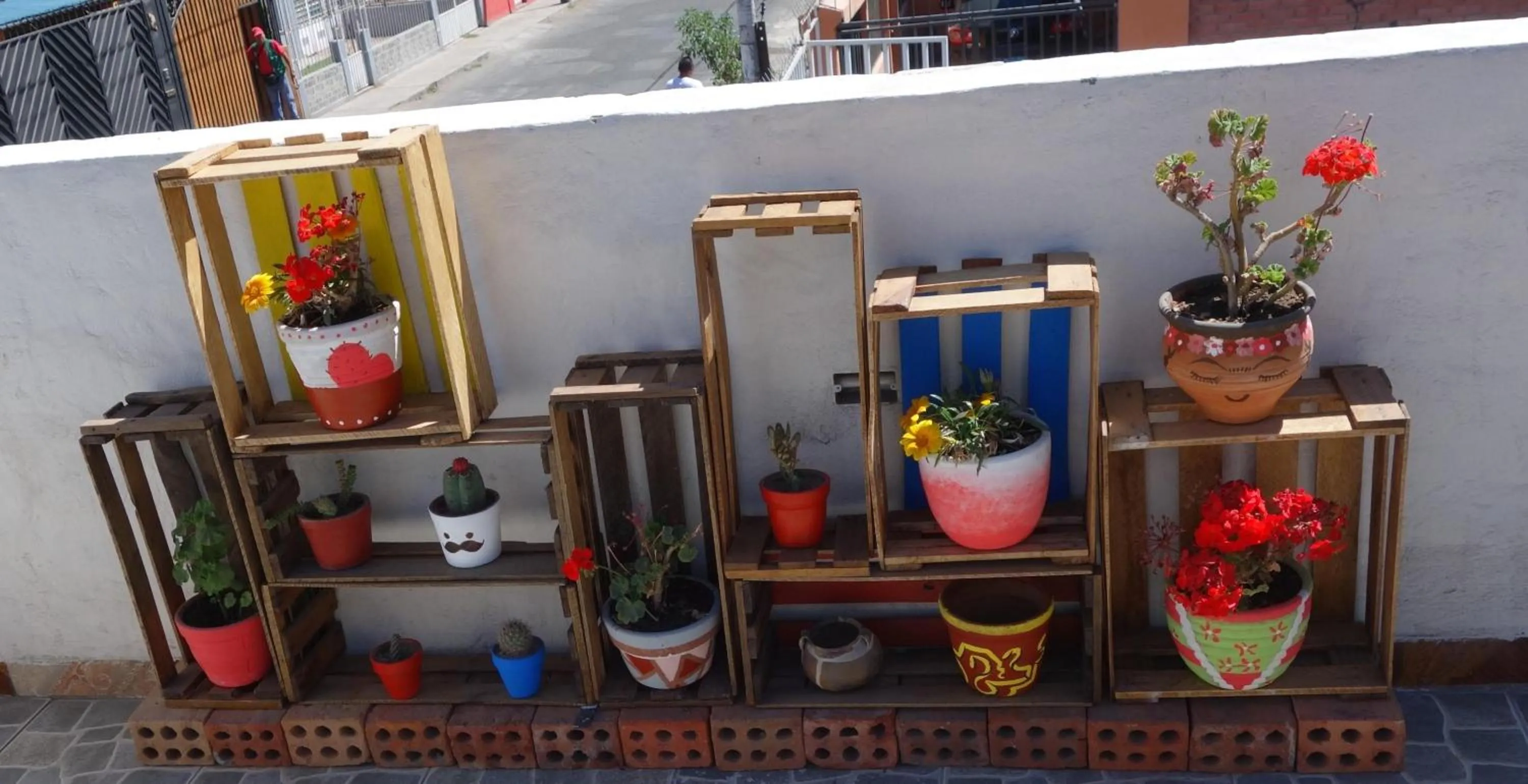 Garden in La Casa de Chamo