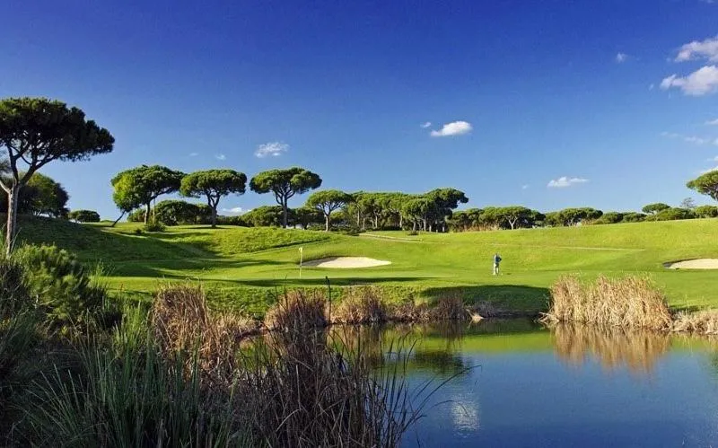 Golfcourse in Sunny Lounge Apartment