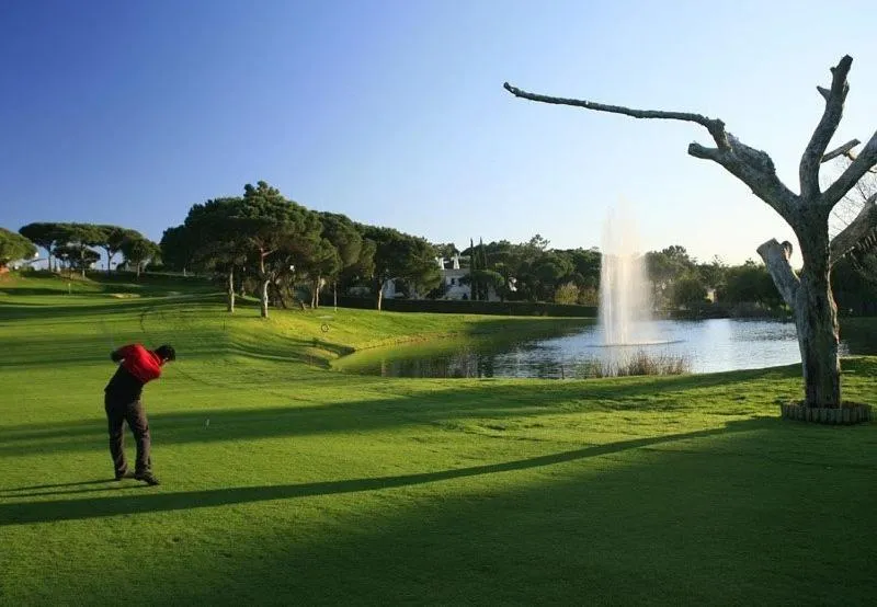 Golfcourse in Sunny Lounge Apartment