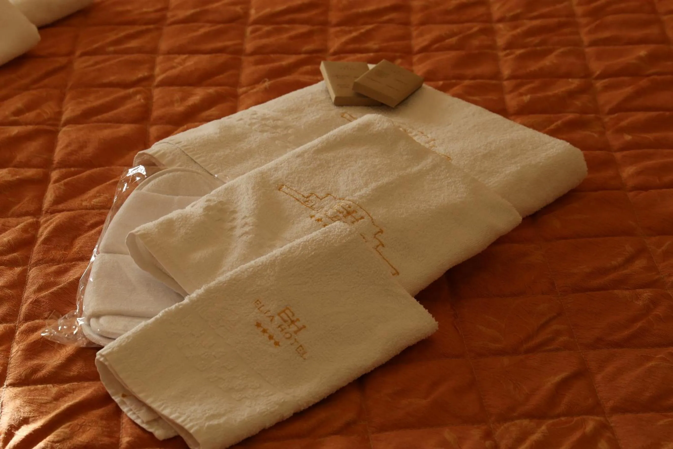 Decorative detail in Elia Hotel