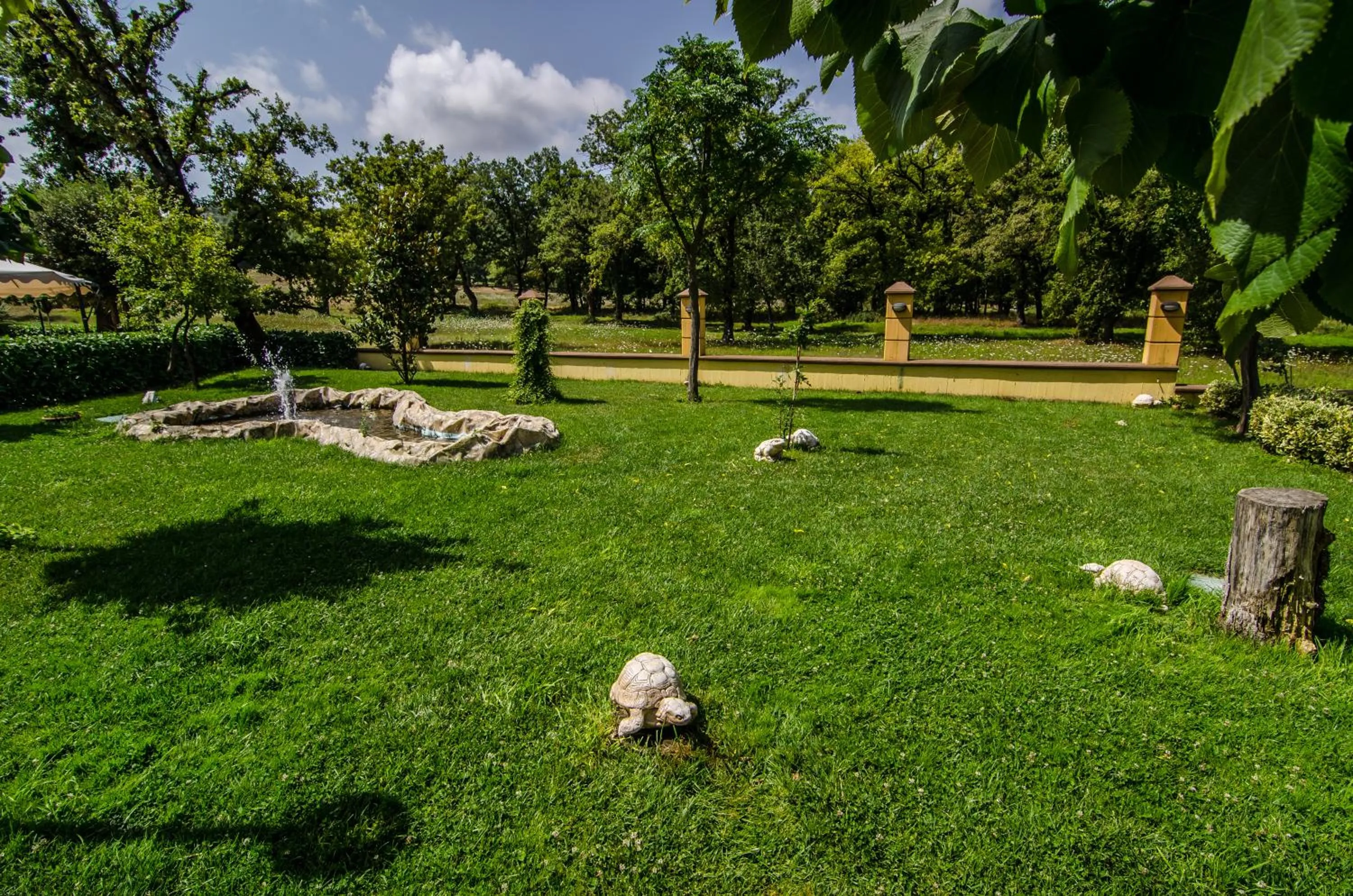 Garden view in Elia Hotel