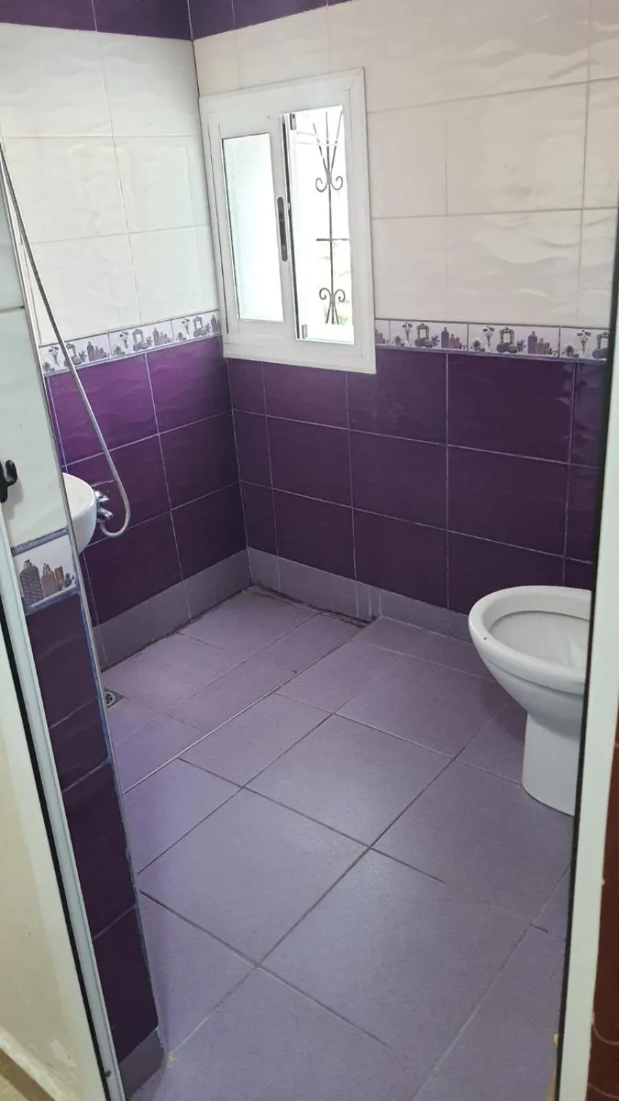 Shower in Hostel ALINE