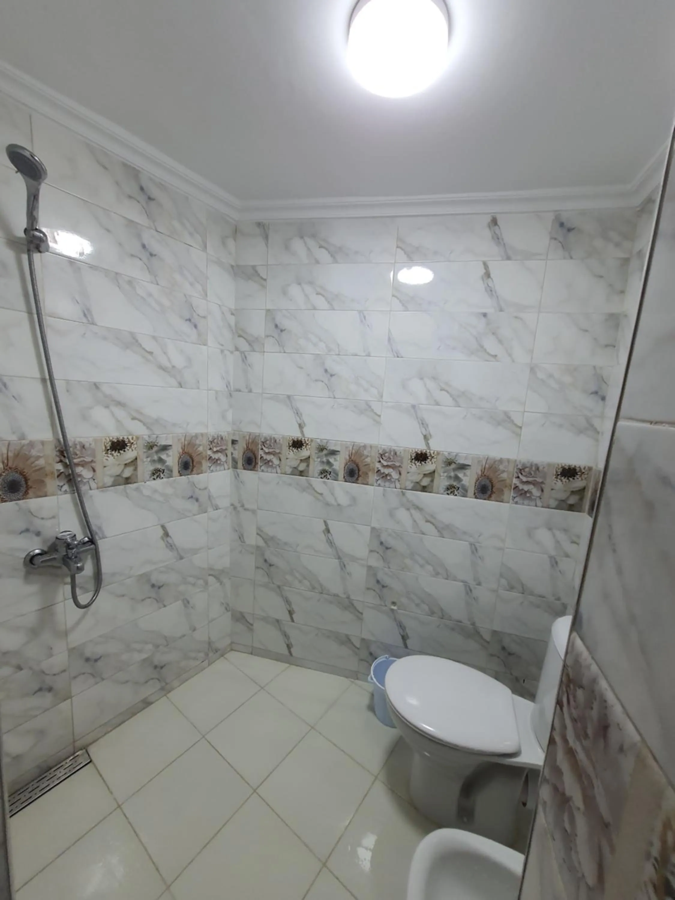 Shower in Hostel ALINE