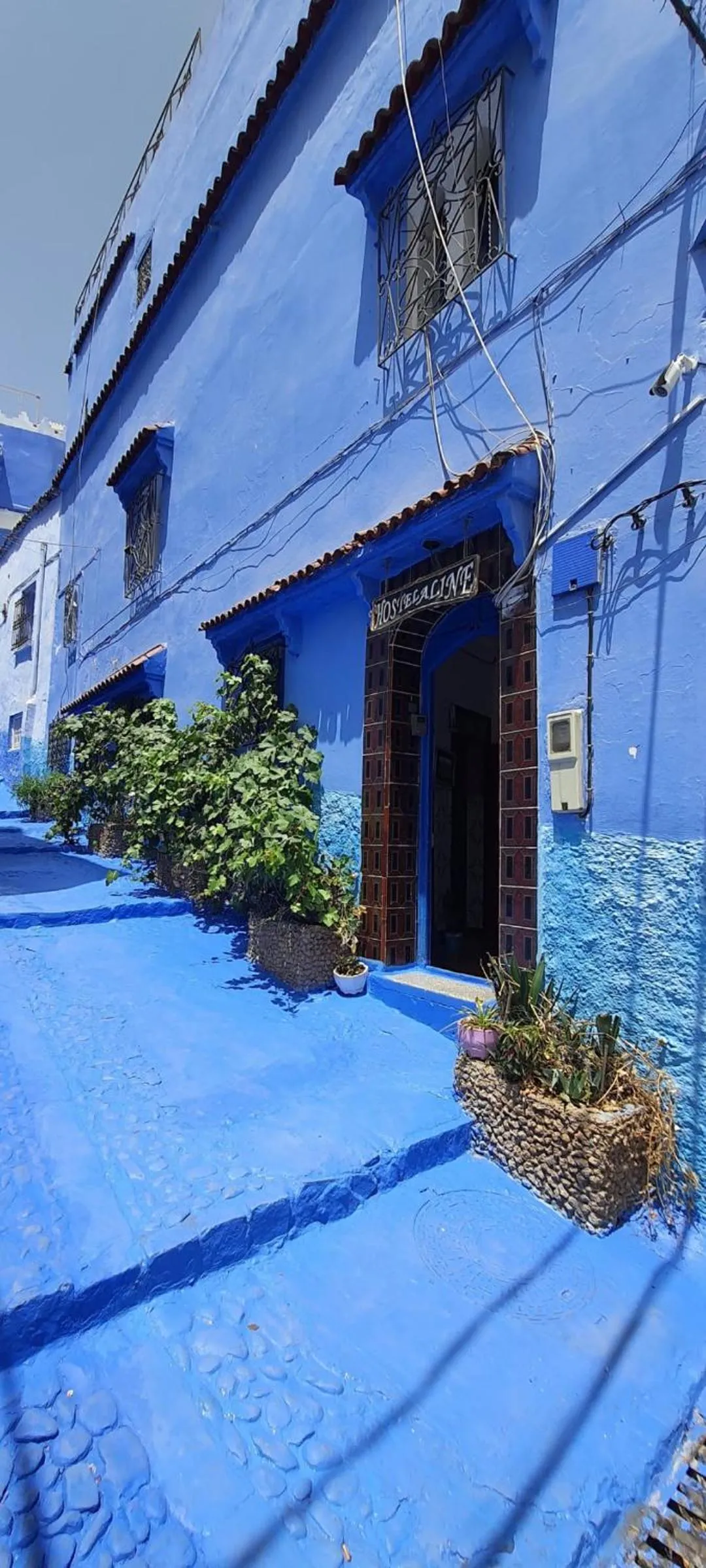 Property building in Hostel ALINE