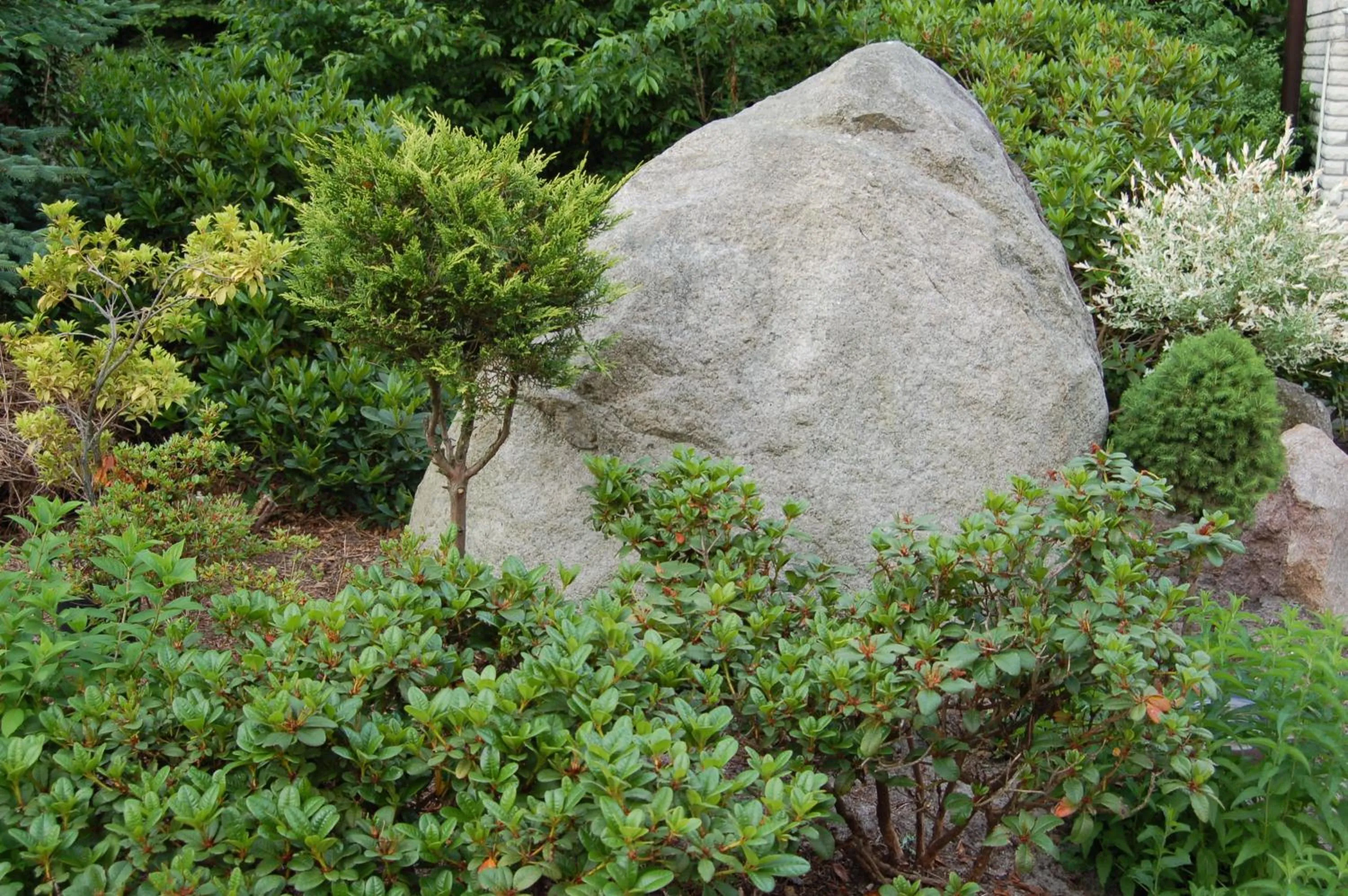 Garden in Hotel am Weißdornbusch