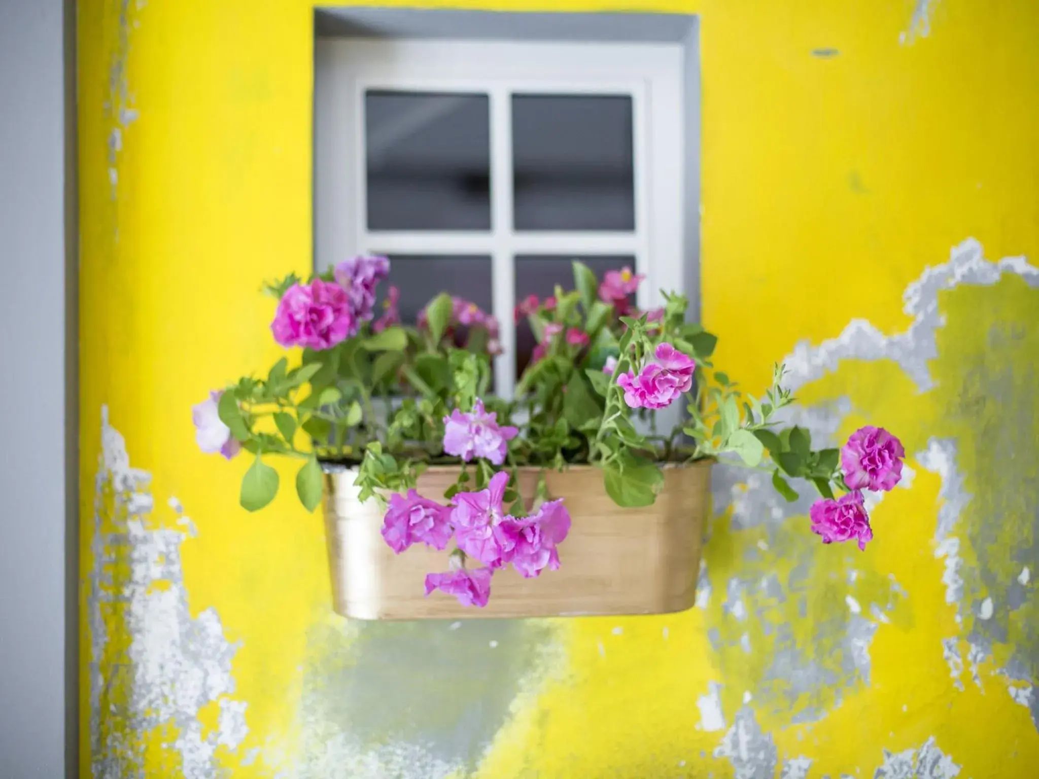 Lobby or reception in Miss Sophie's New Town & Wellness Lobby or reception in Miss Sophie's New Town & Wellness