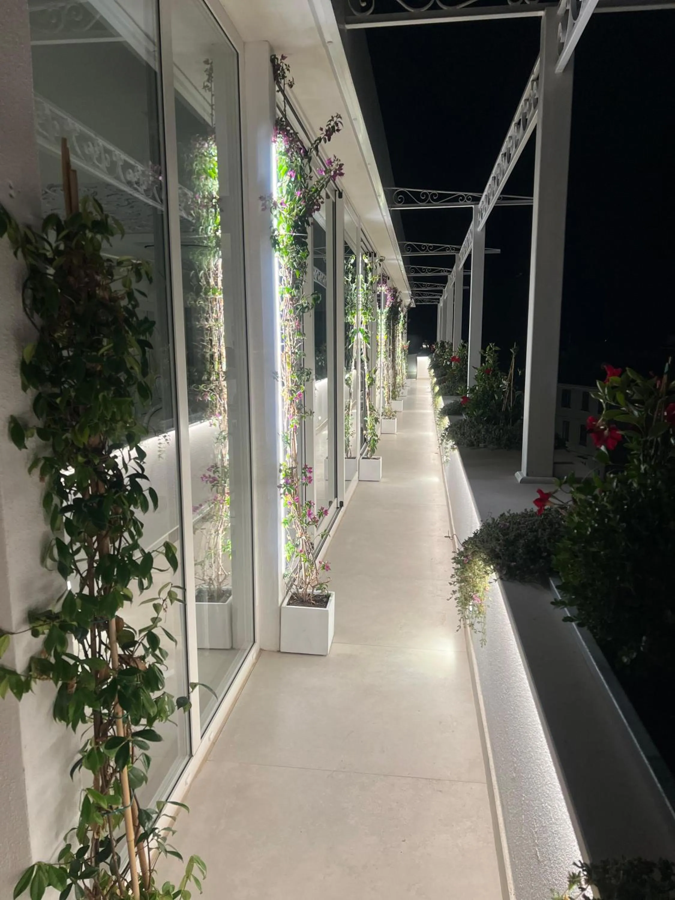 Restaurant/places to eat in Minori Palace