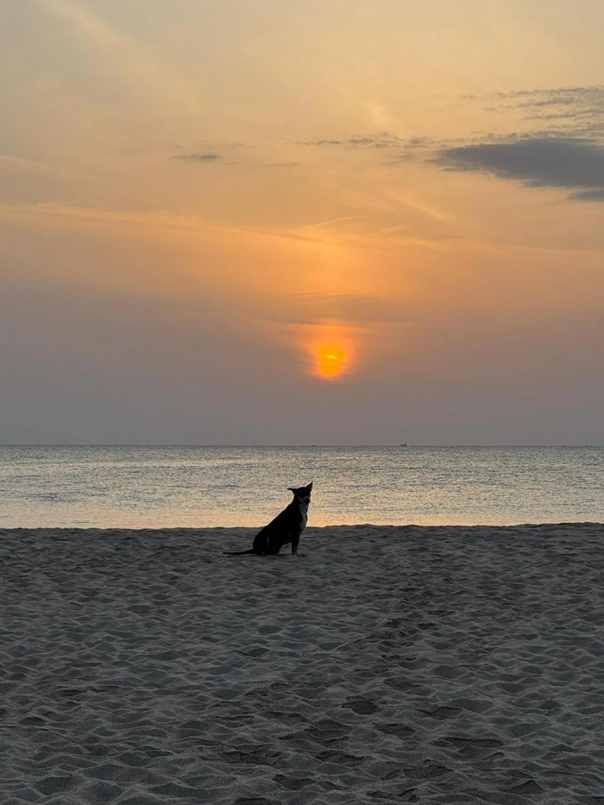 108 Palms Beach Resort