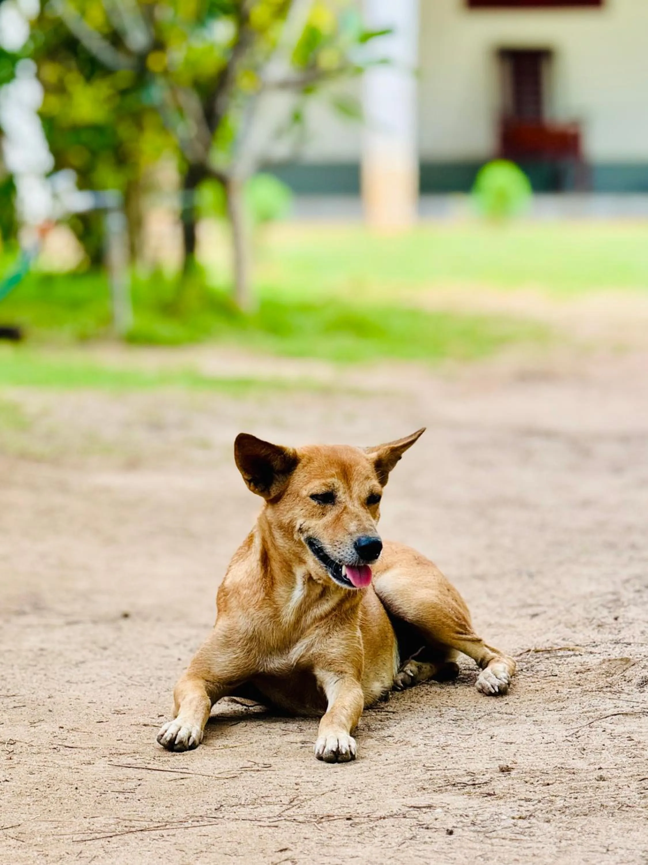 108 Palms Beach Resort