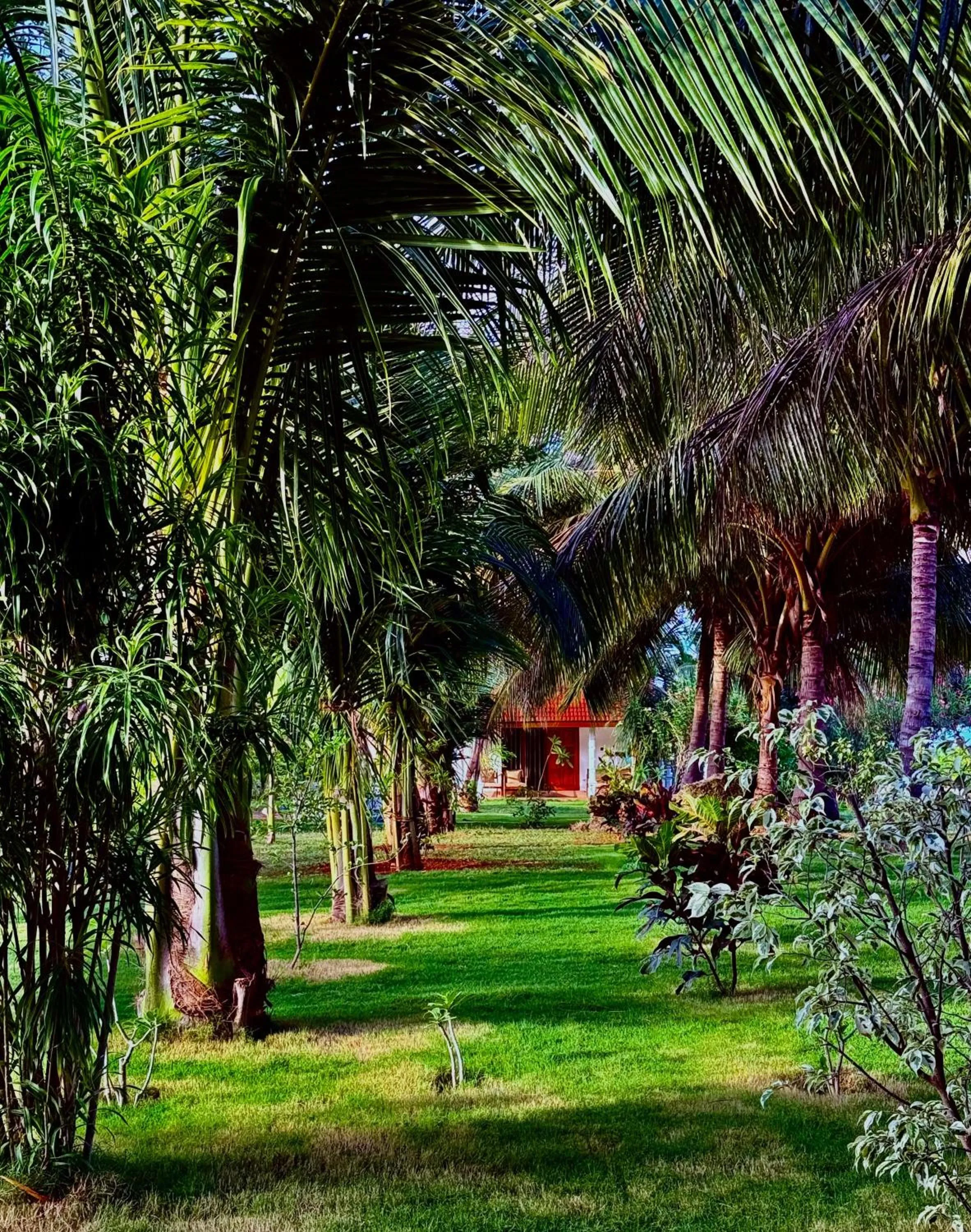 108 Palms Beach Resort