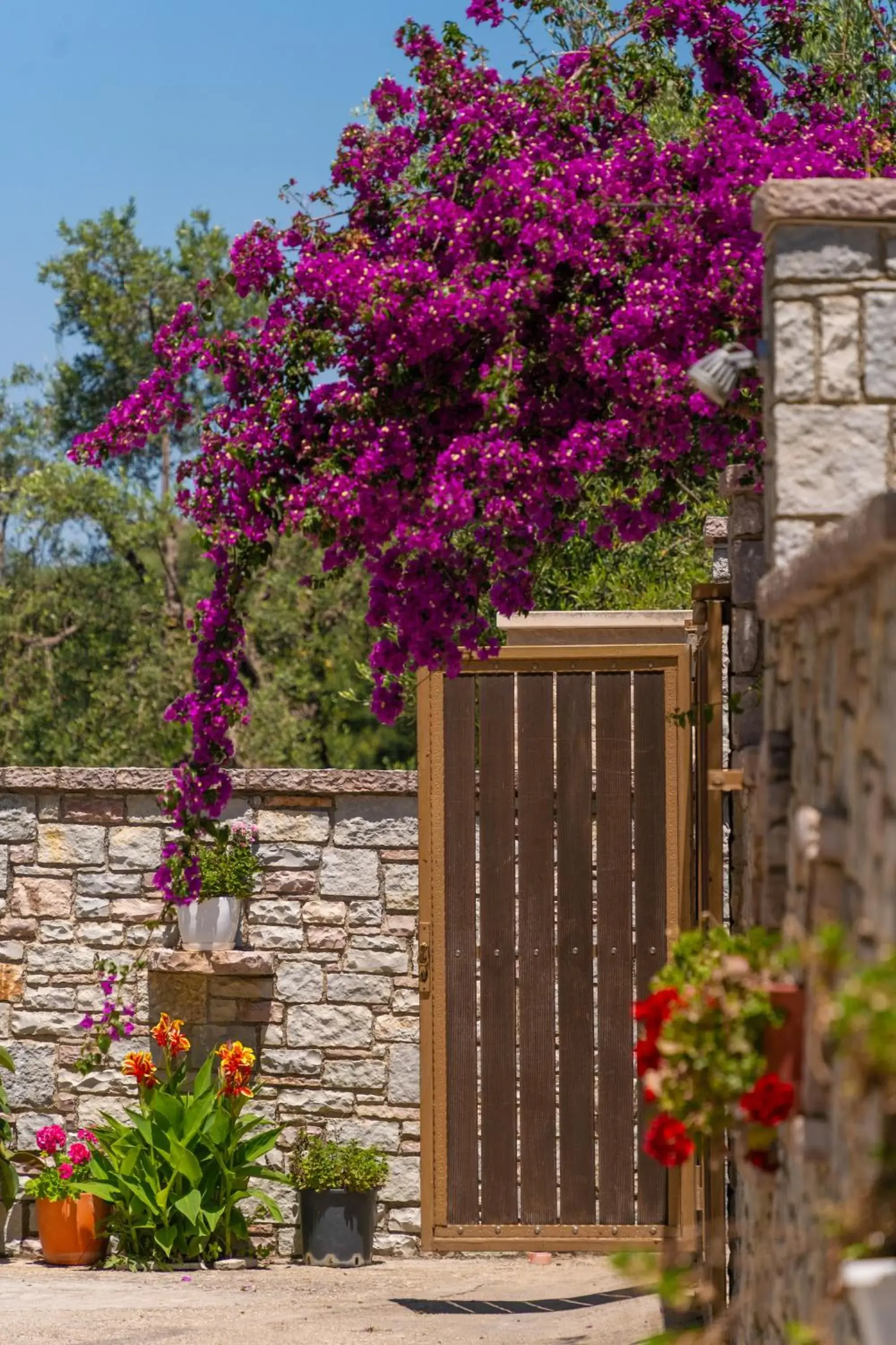 Olivet Hotel Olivet Hotel