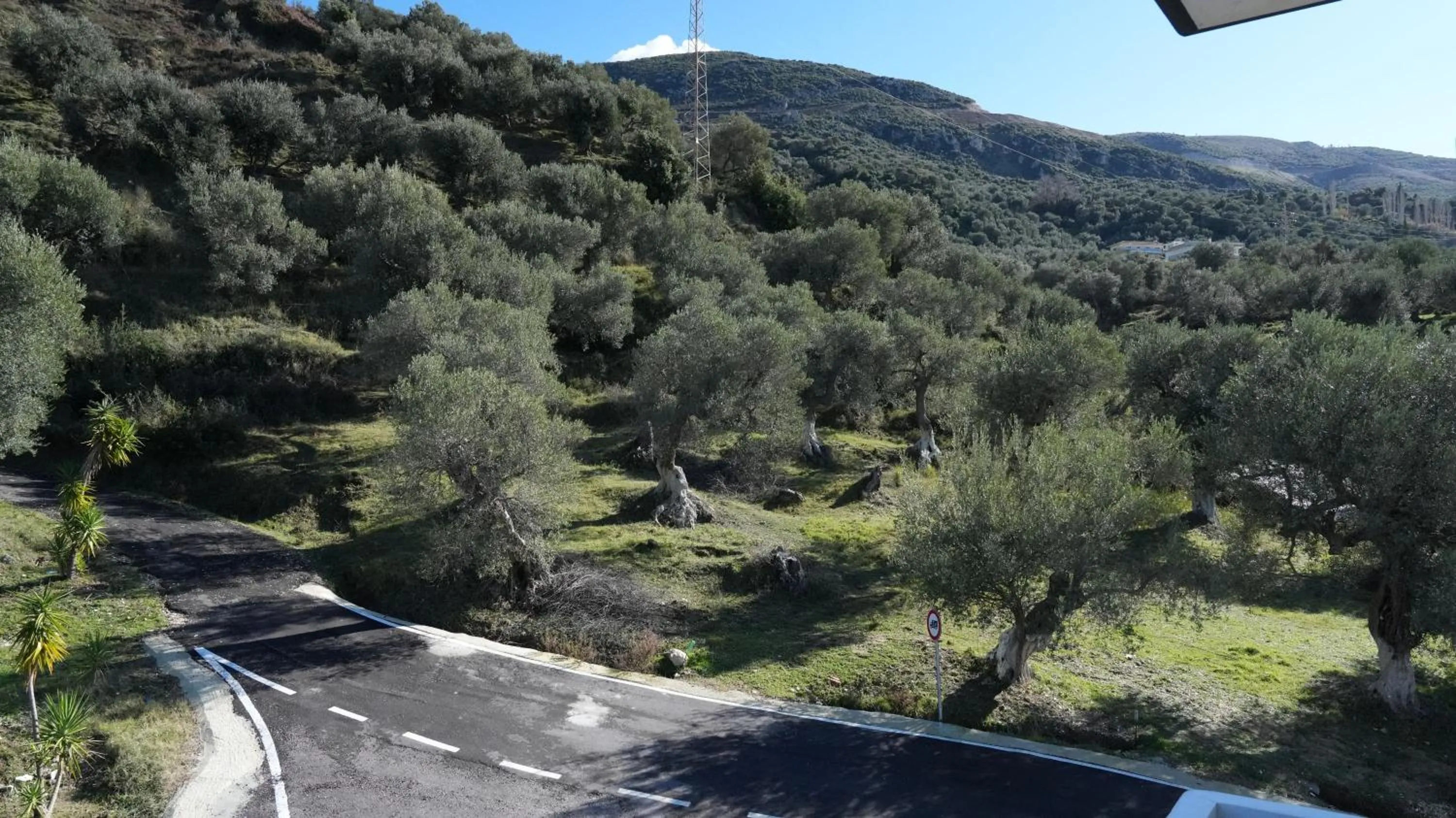 View (from property/room) in Olivet Hotel