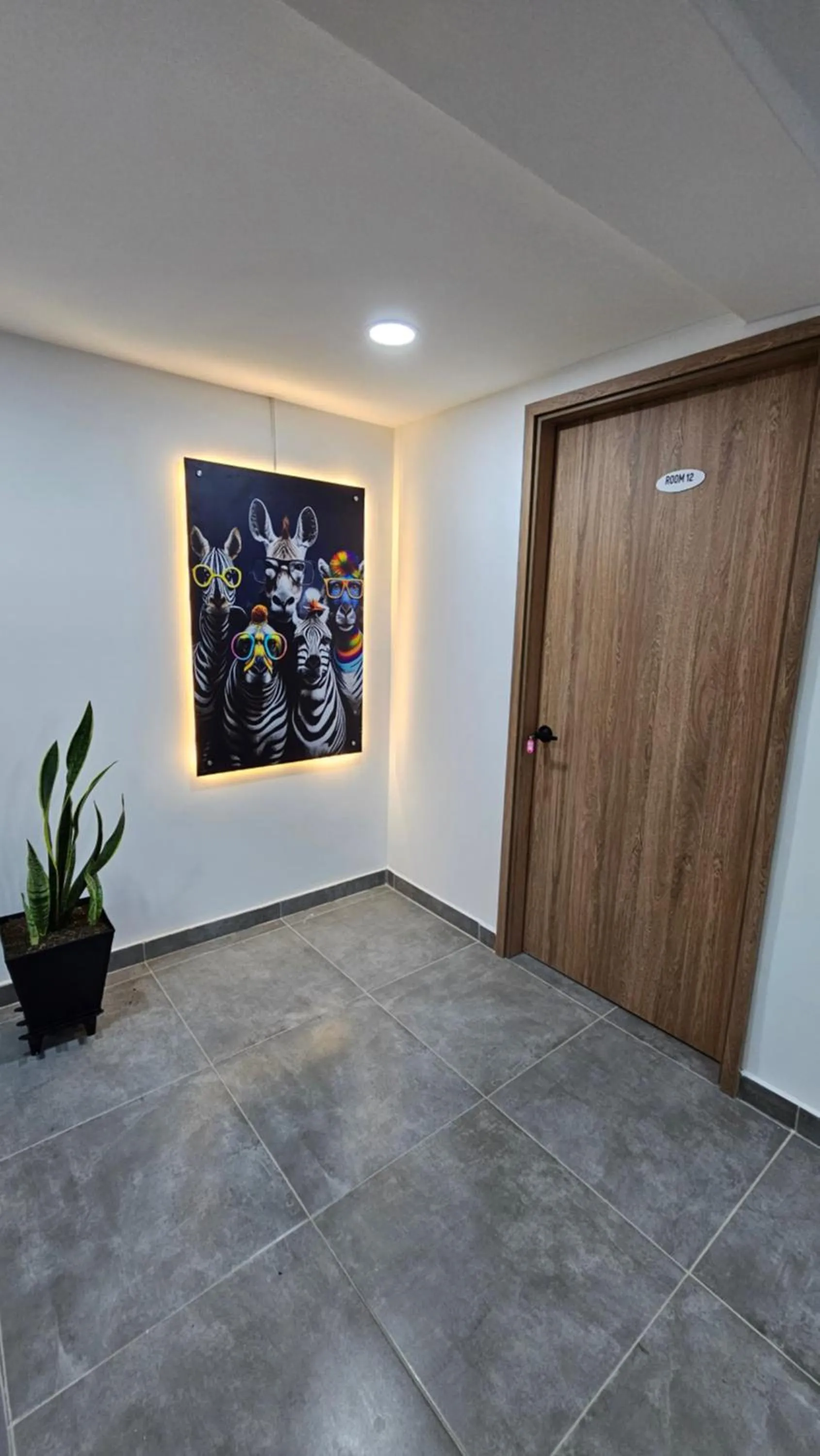 Area and facilities in Komfort House Premium