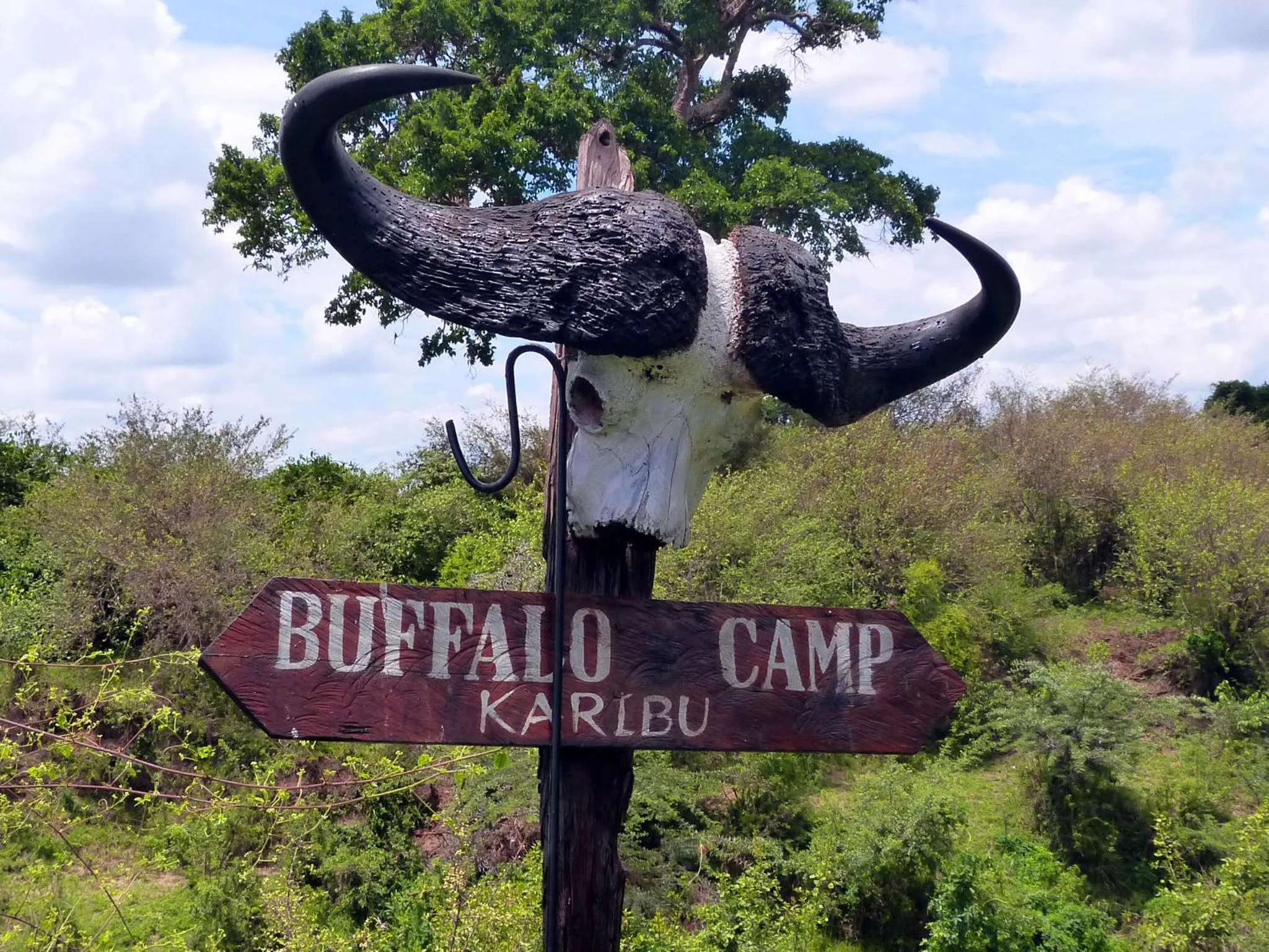 Logo/Certificate/Sign in Julia's River Camp