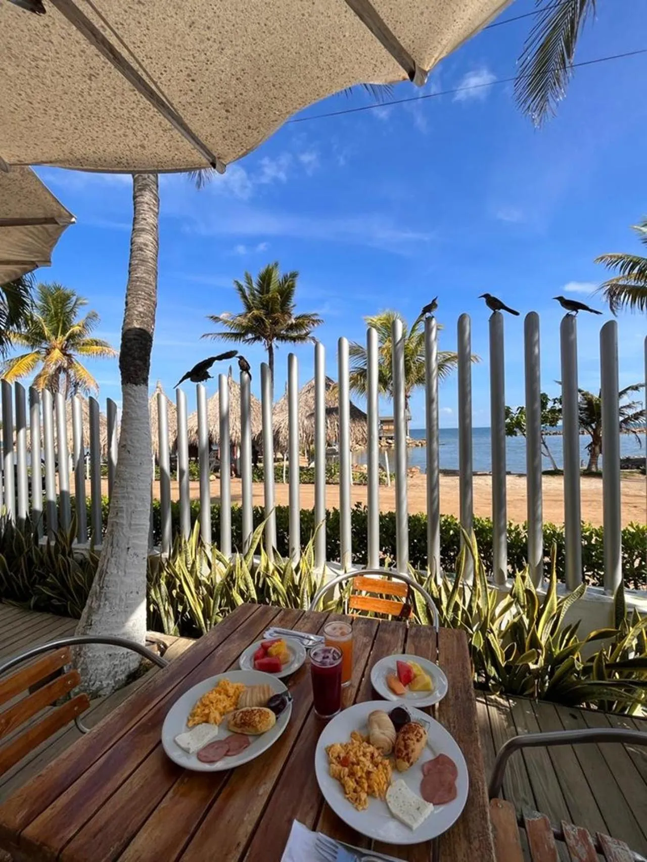 Day in Hotel La Fragata