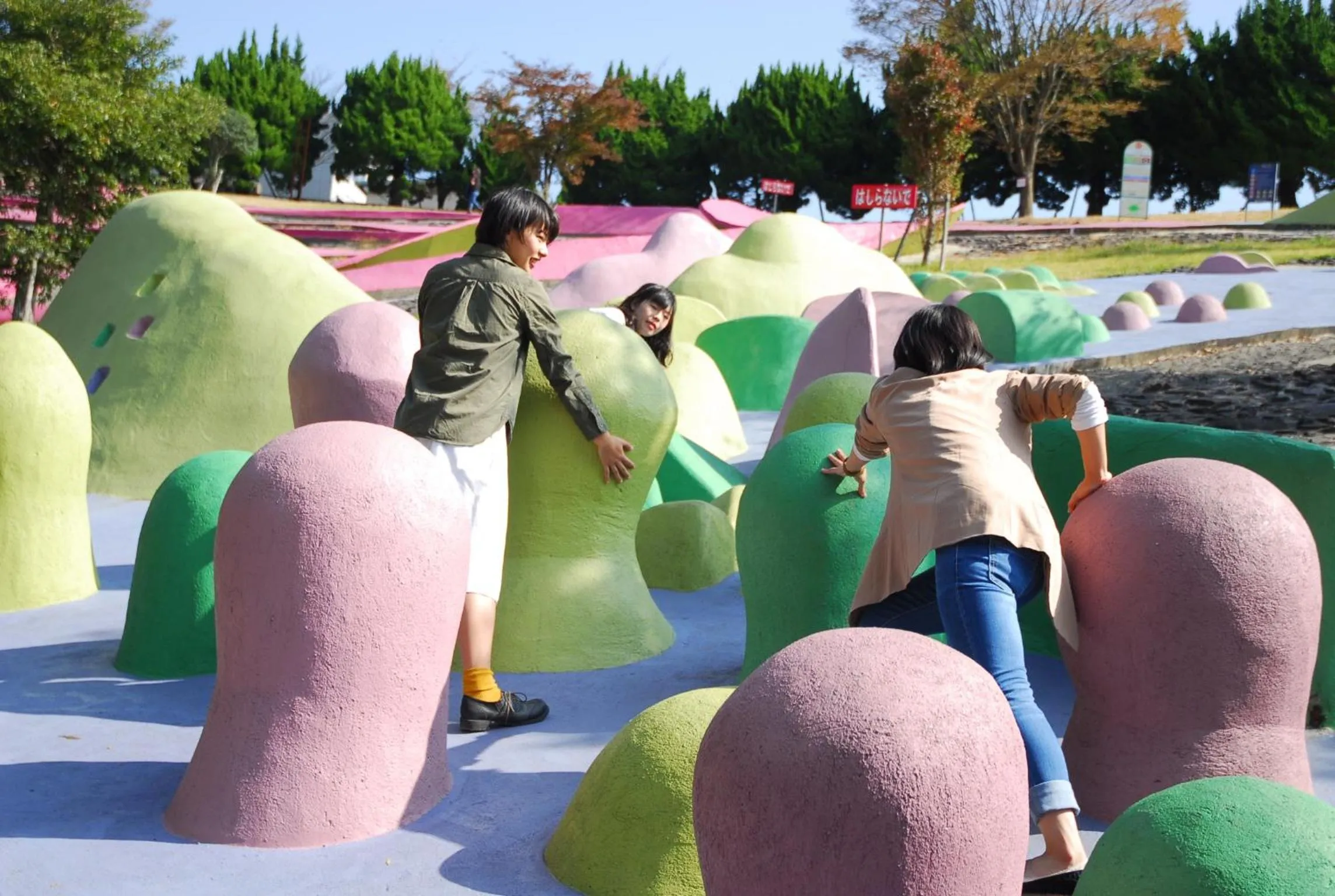 Activities in Aso Farm Land