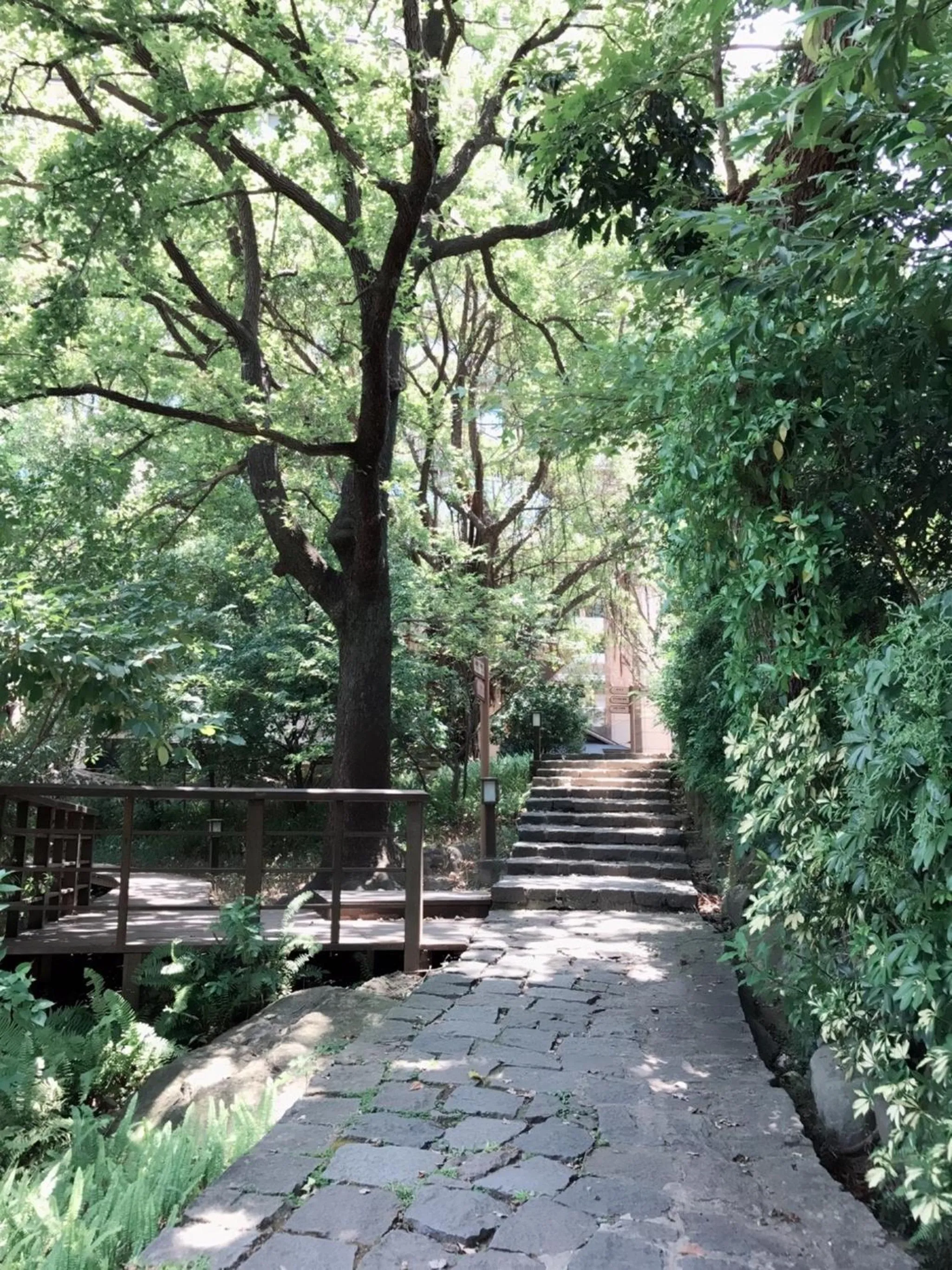 Property building in JBG Hotspring Resort Hotel