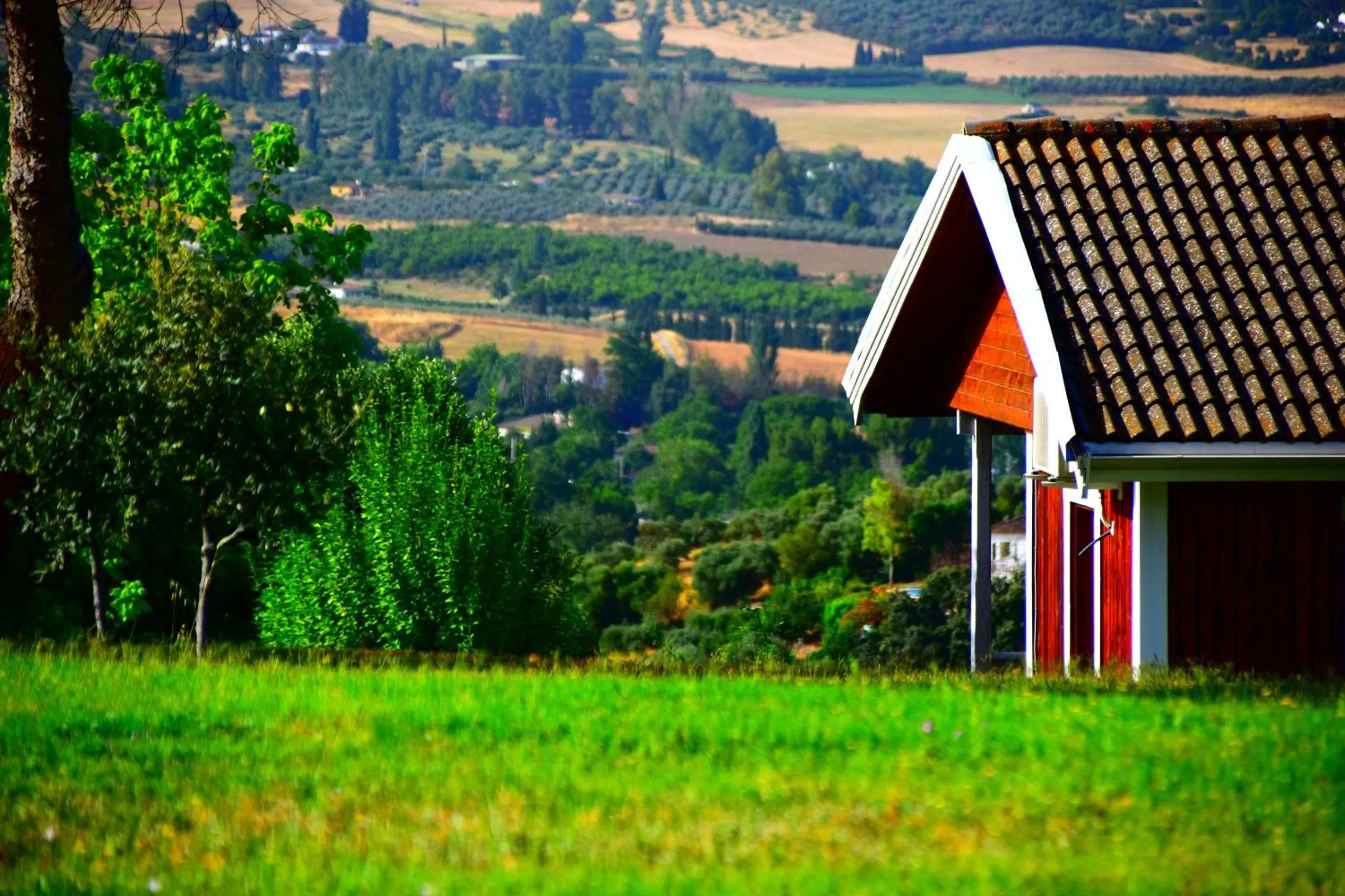 Property building in Villa Casa Alta