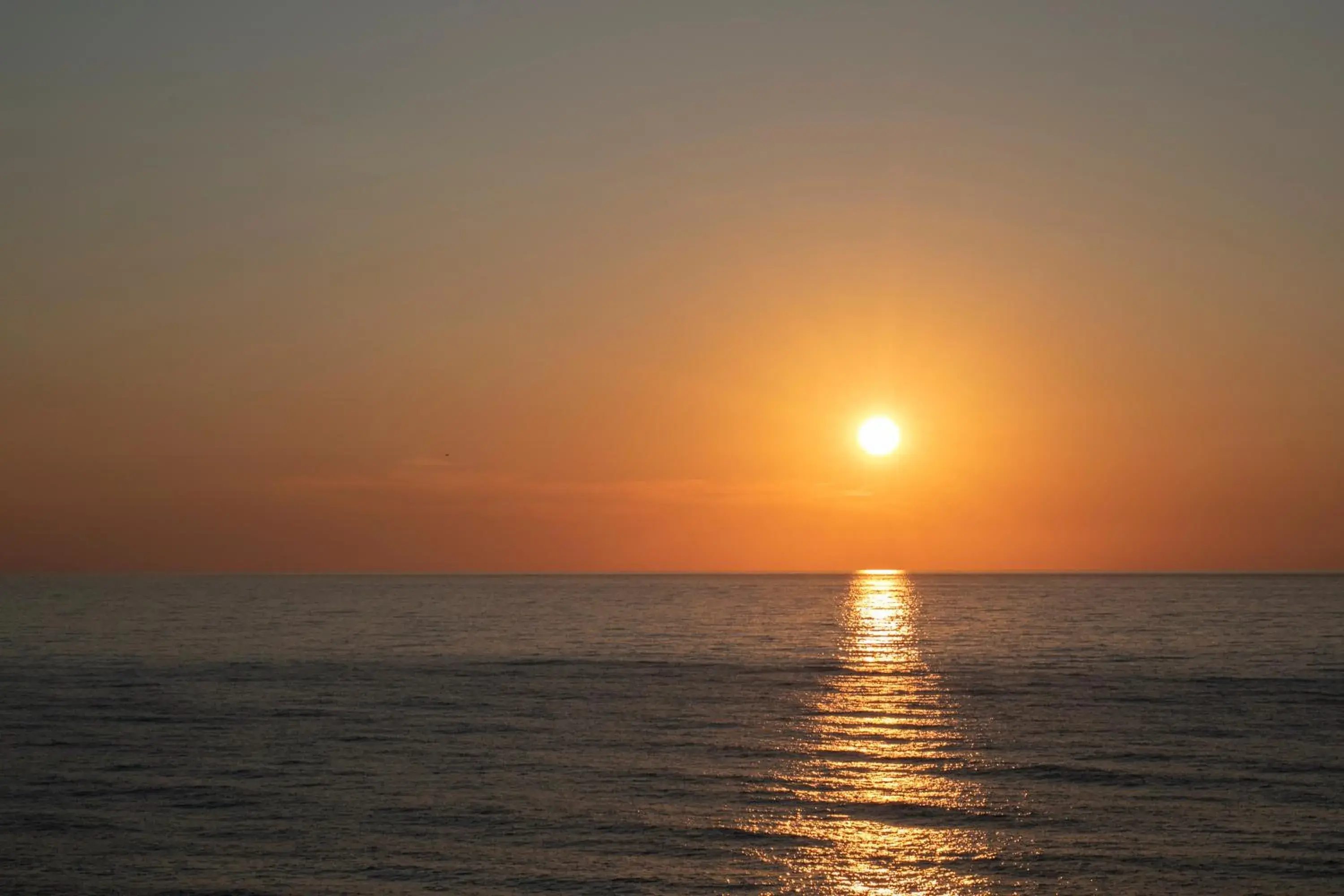 Sea view, Sunrise/Sunset in Hotel Za Maria