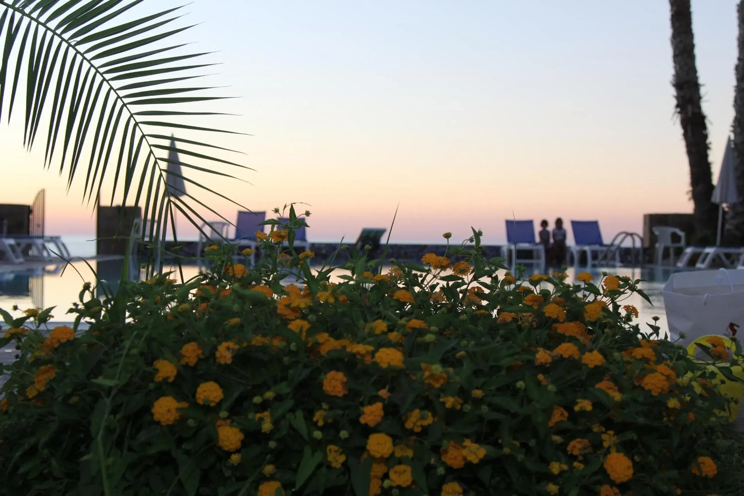 Swimming pool, Sunrise/Sunset in Hotel Za Maria