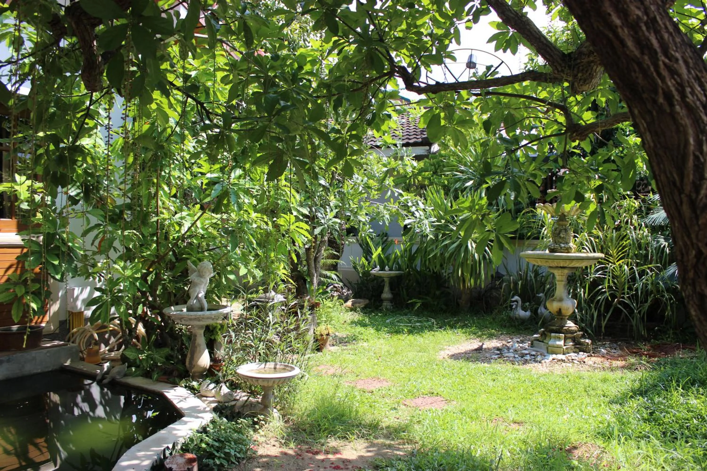 Garden in Tree Home Plus