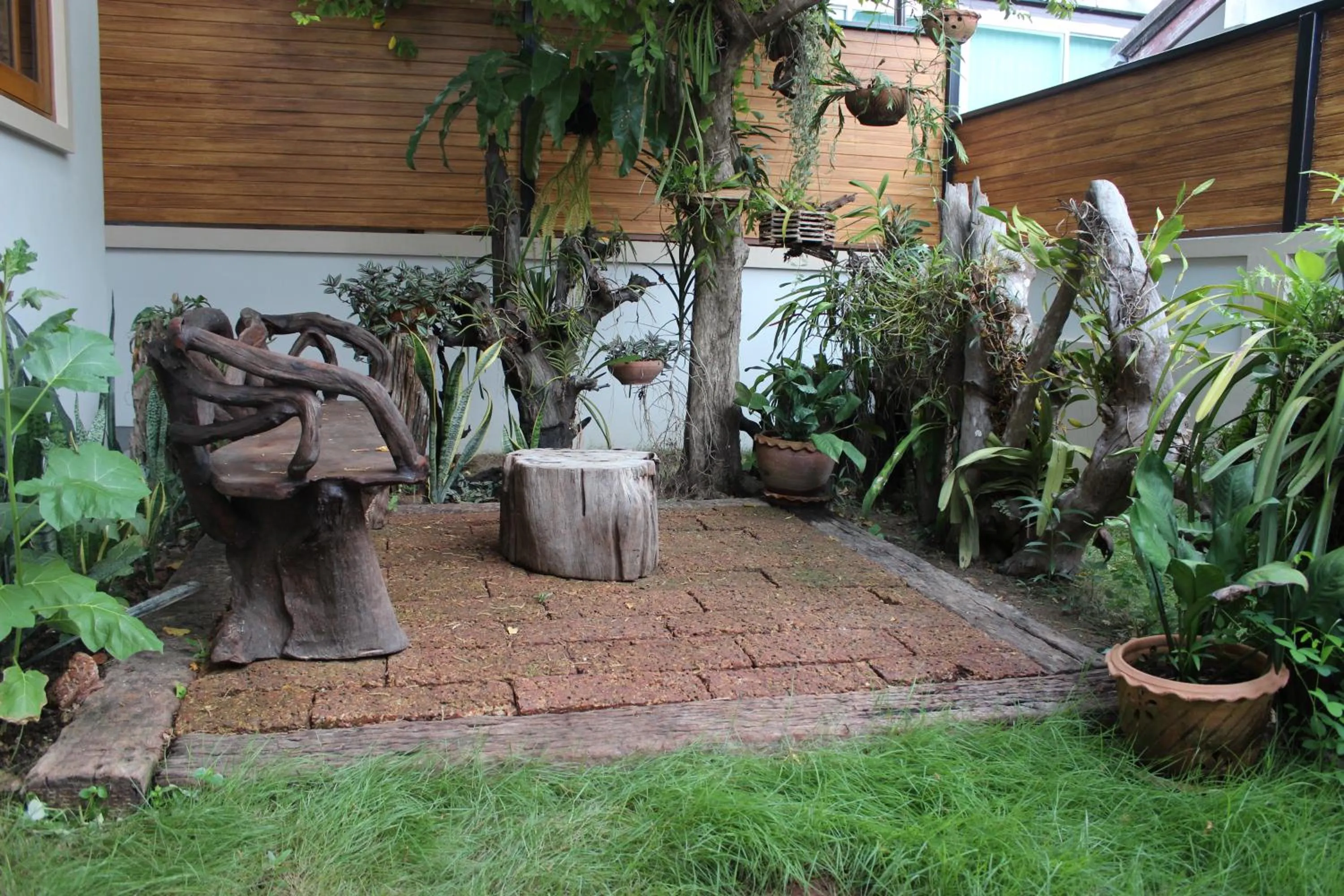 Garden in Tree Home Plus