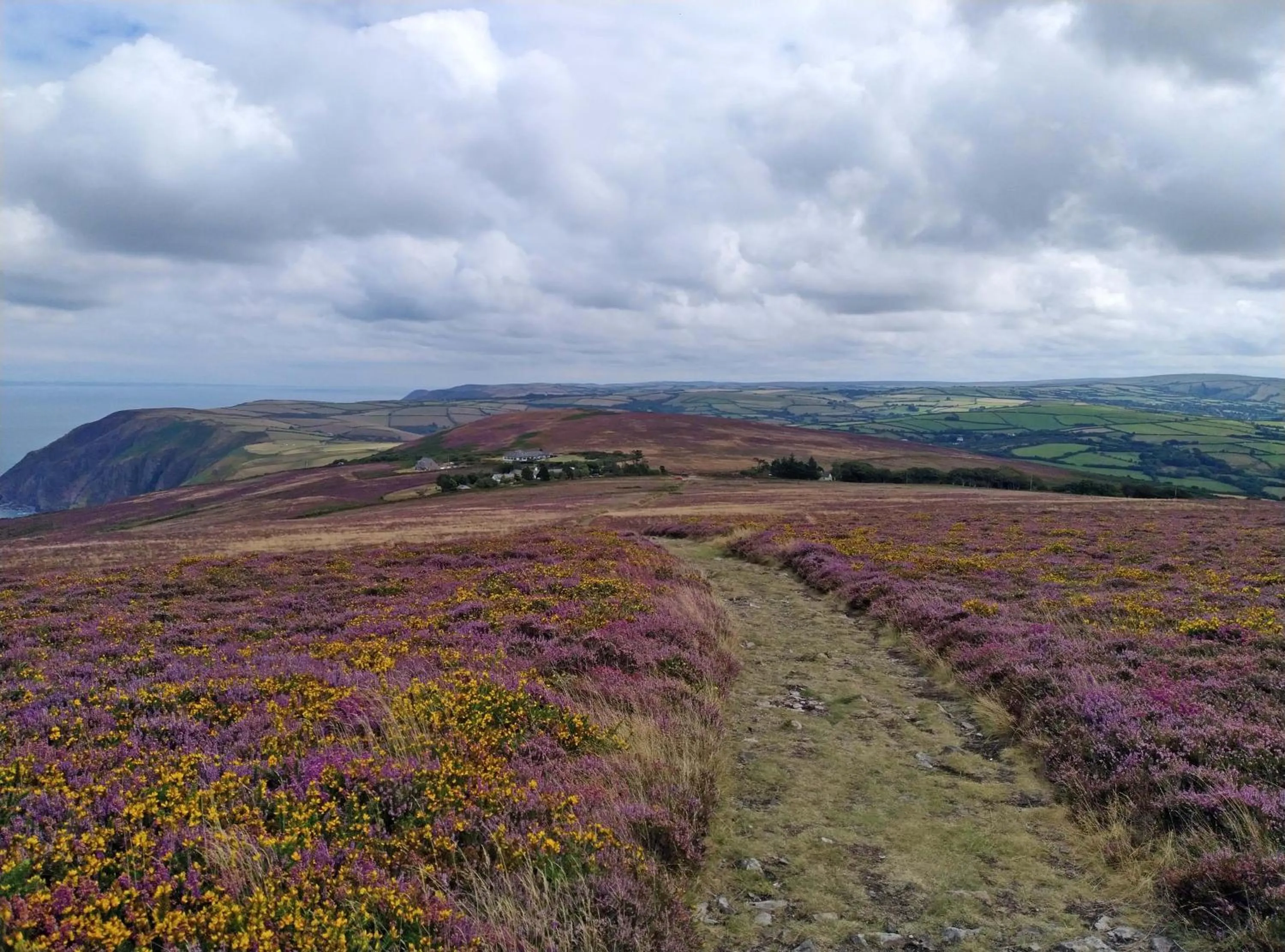 Natural landscape in The Gallery Lodges