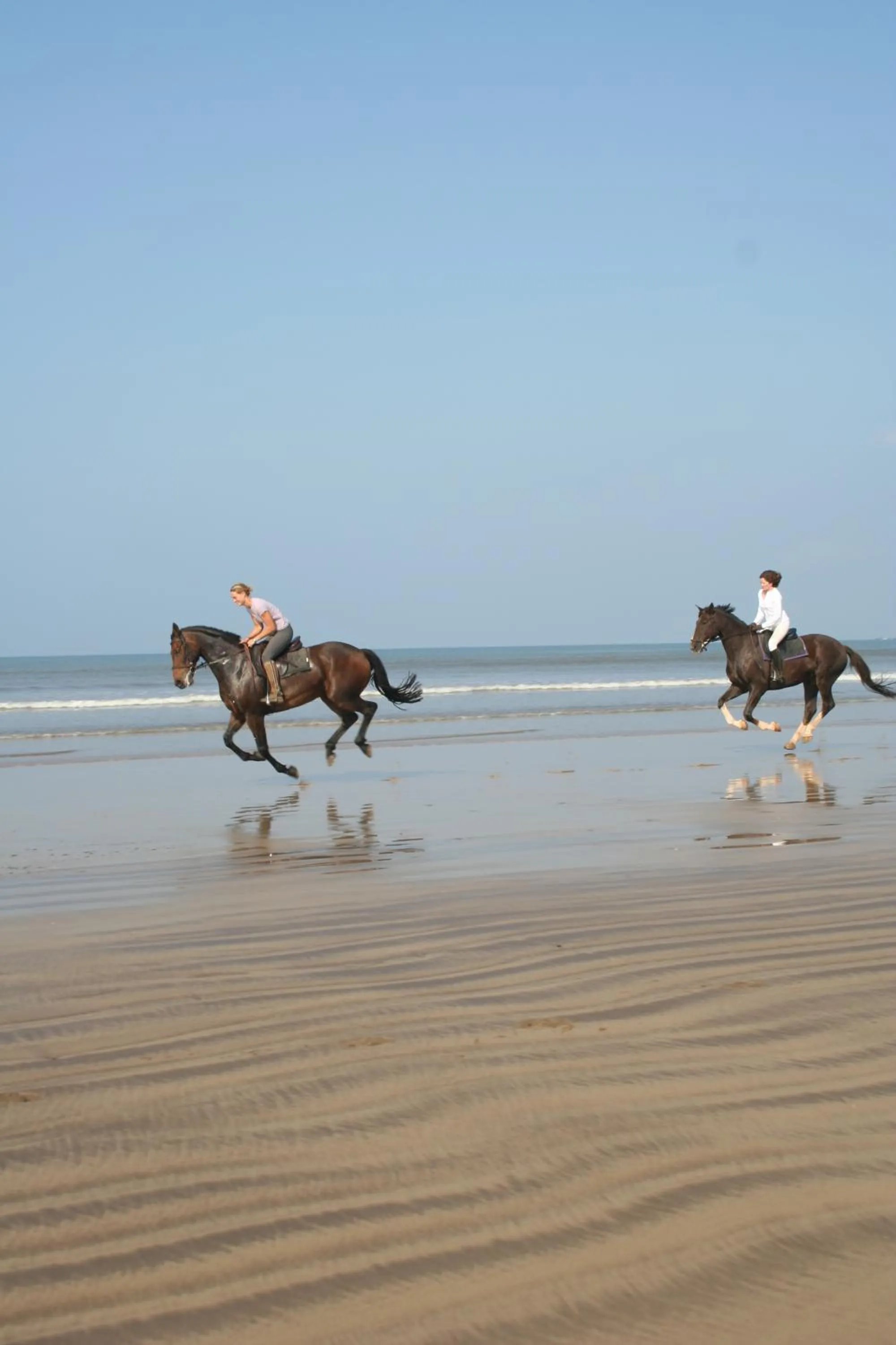 Off site in The Gallery Lodges