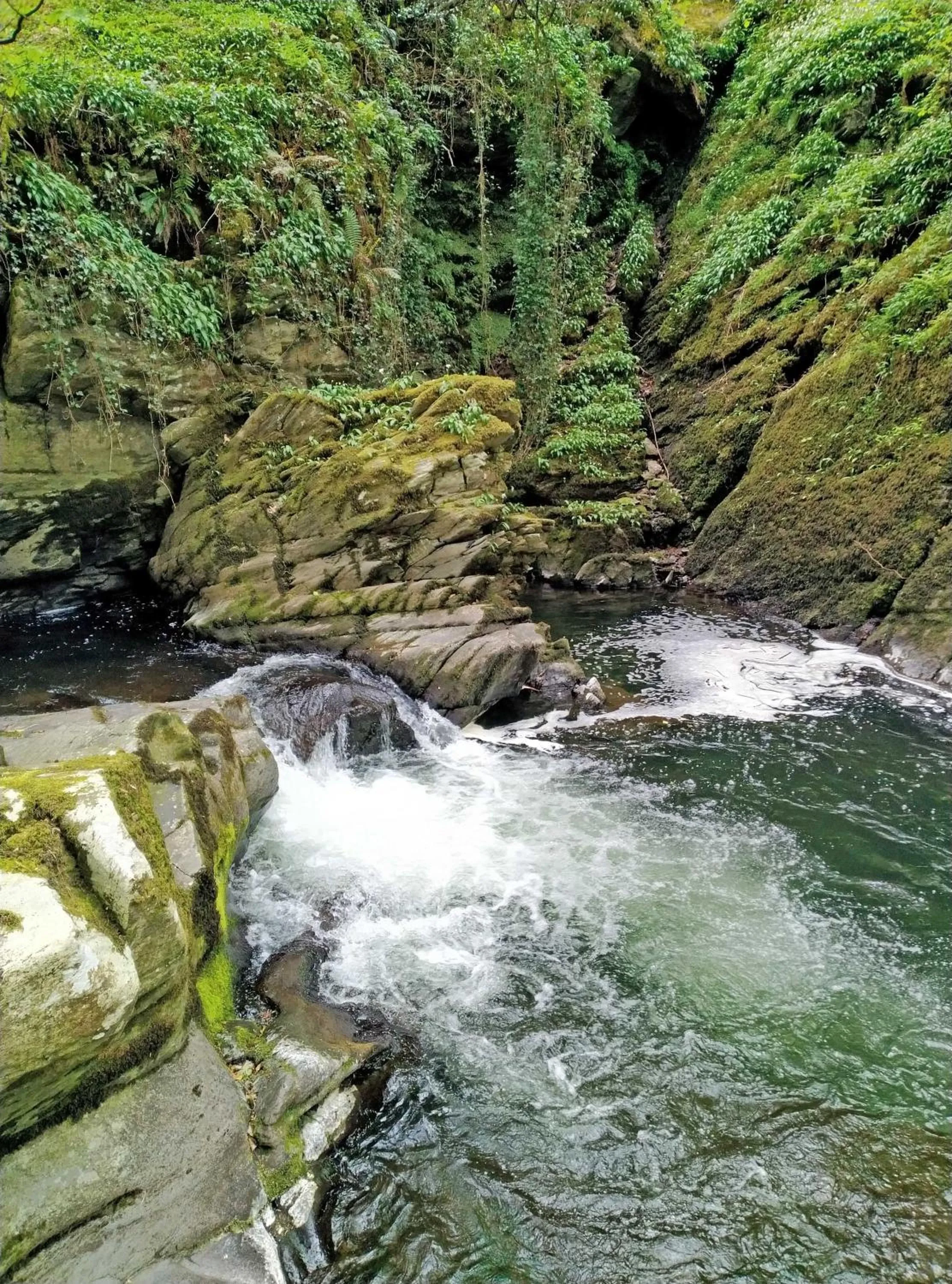 Nearby landmark in The Gallery Lodges