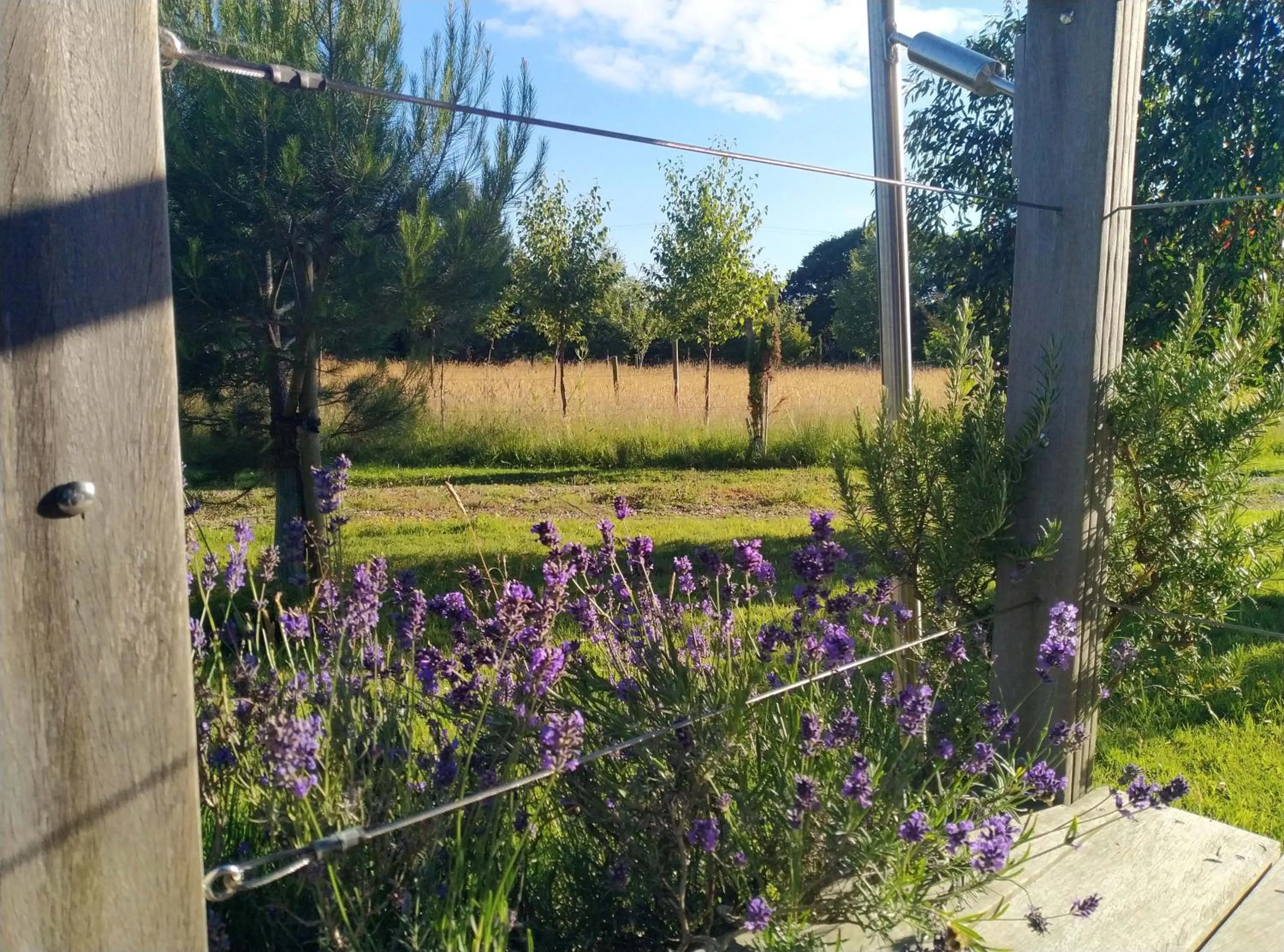 Natural landscape in The Gallery Lodges