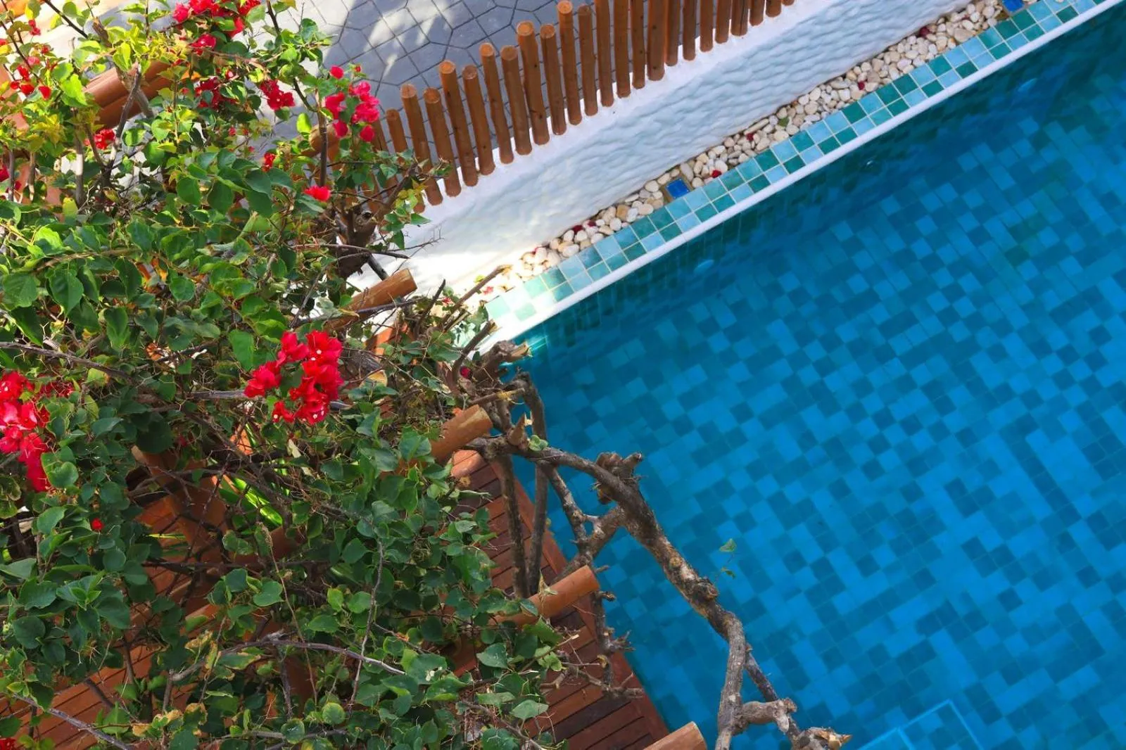 Casa Manoa Pousada