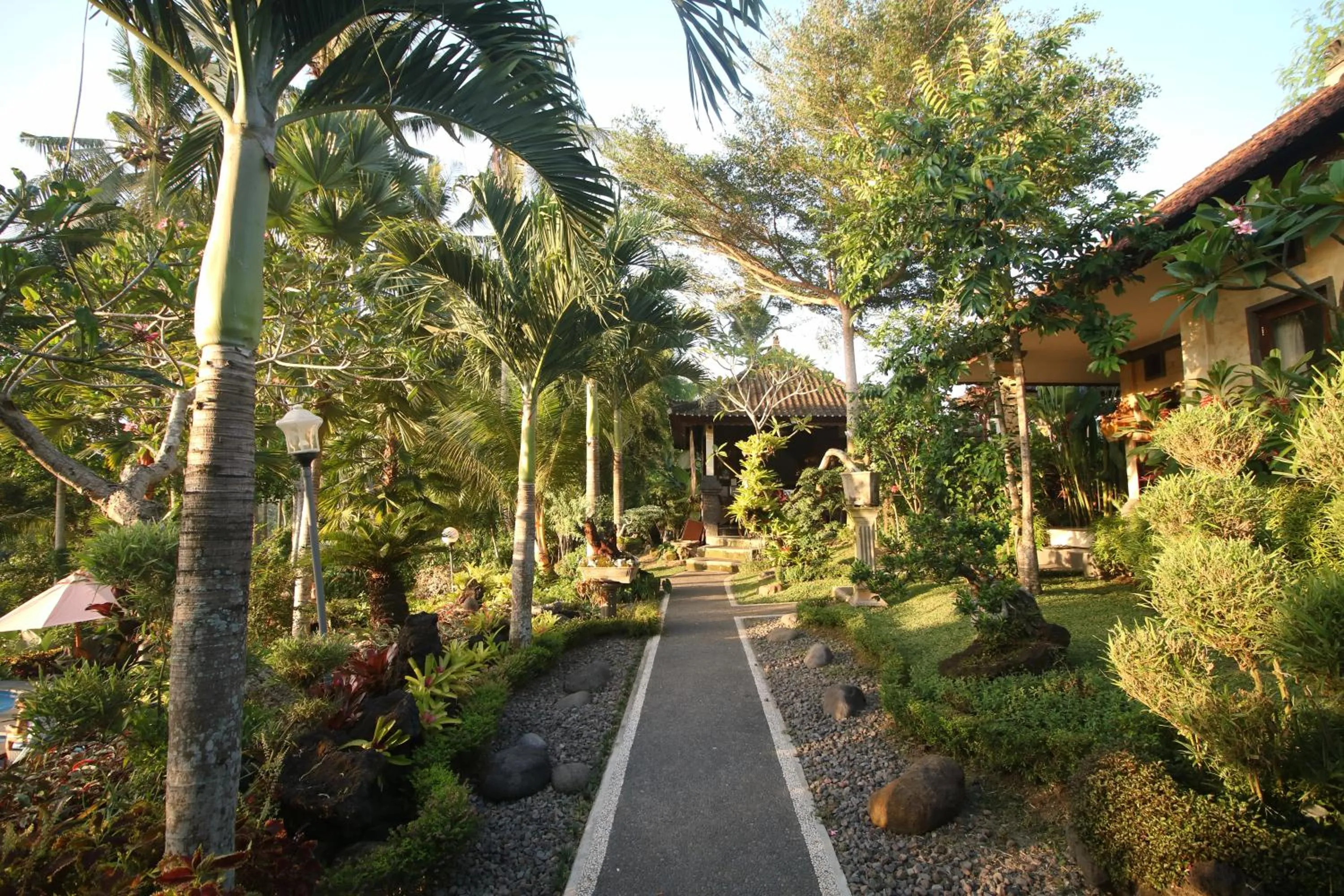 Garden in Villa Capung Mas Ubud