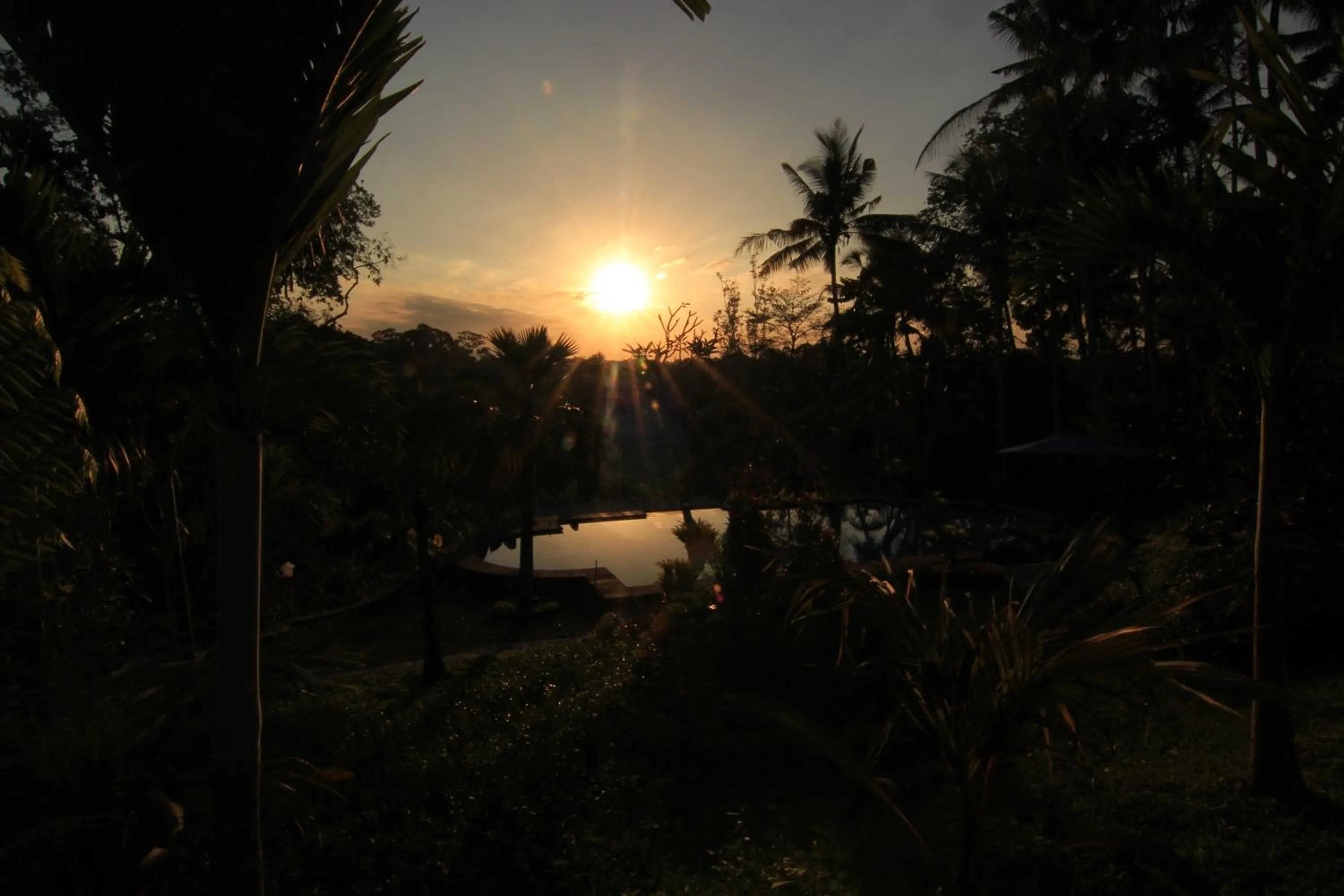 Landmark view in Villa Capung Mas Ubud