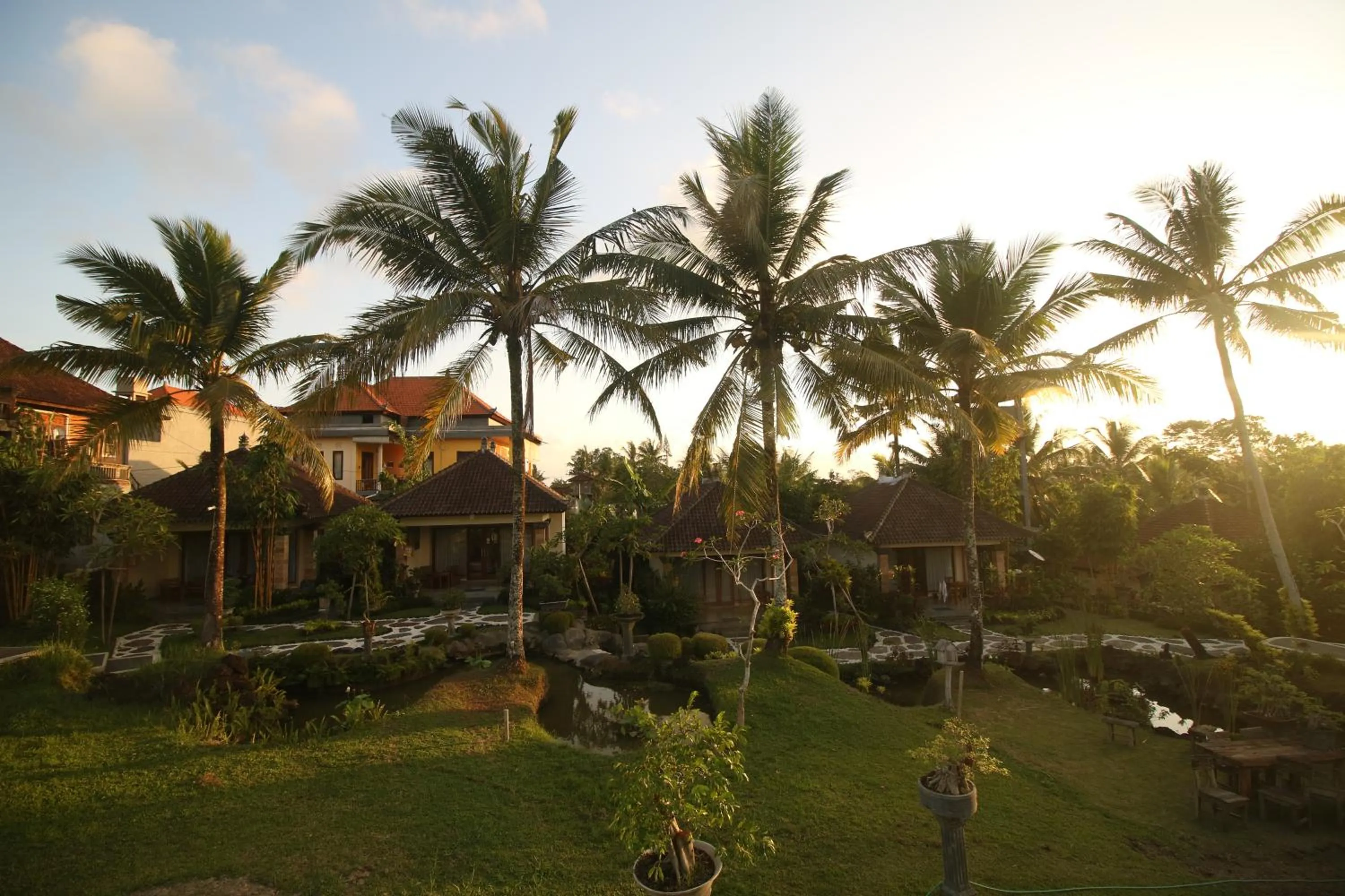 Natural landscape in Villa Capung Mas Ubud