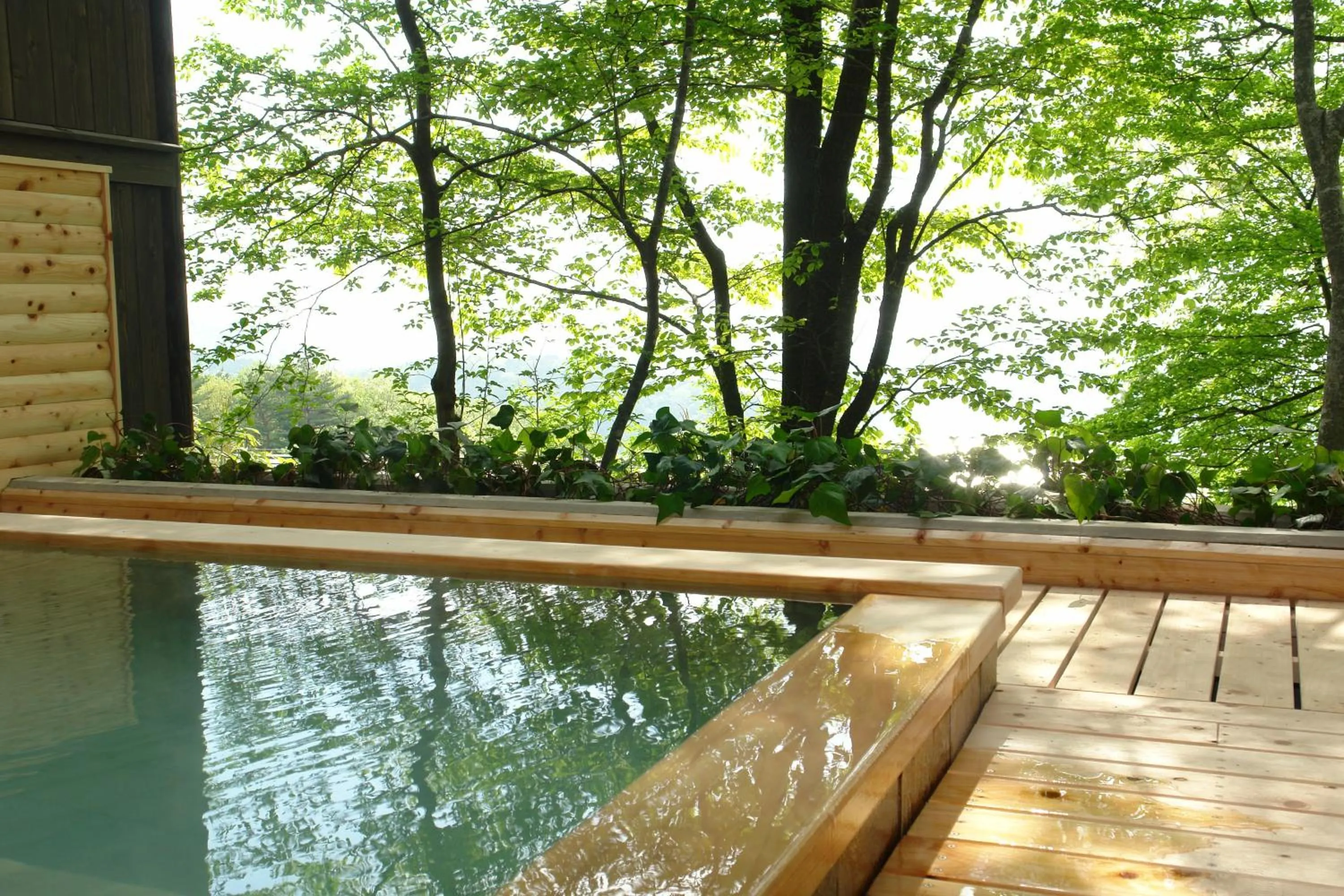 Hot Spring Bath in Kounkaku