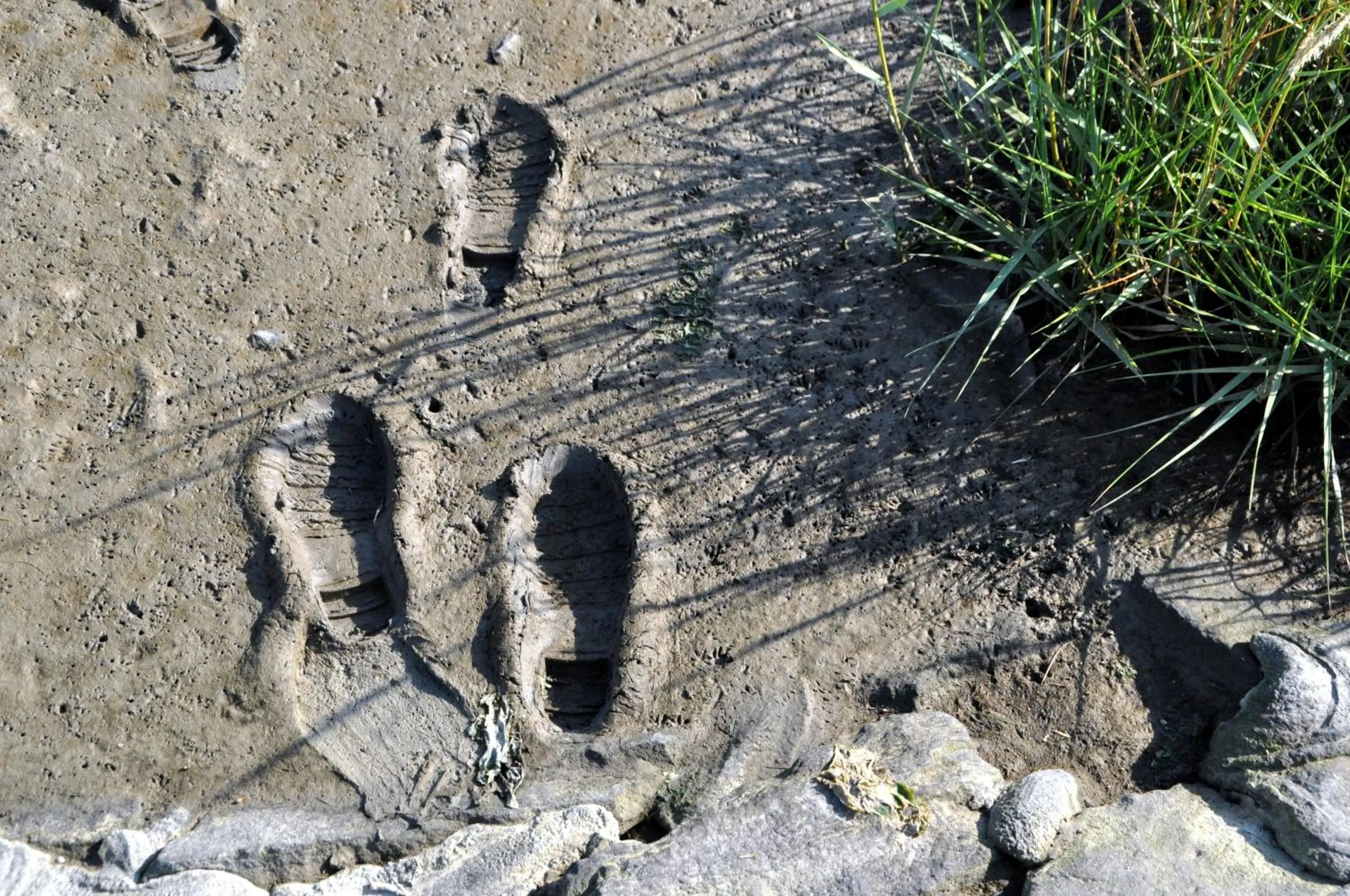 Natural landscape in Strand Hotel Nordsee, Hotel Deichläufer