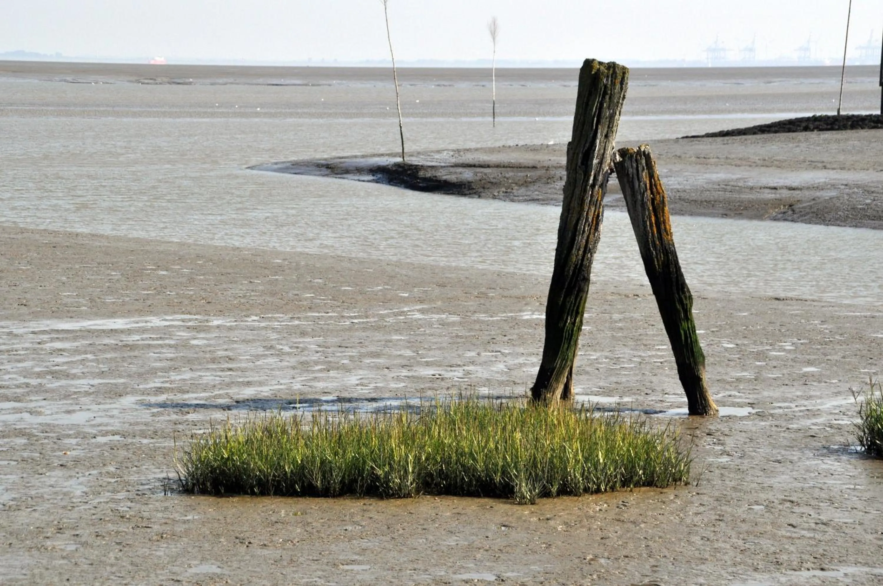 Natural landscape in Strand Hotel Nordsee, Hotel Deichläufer