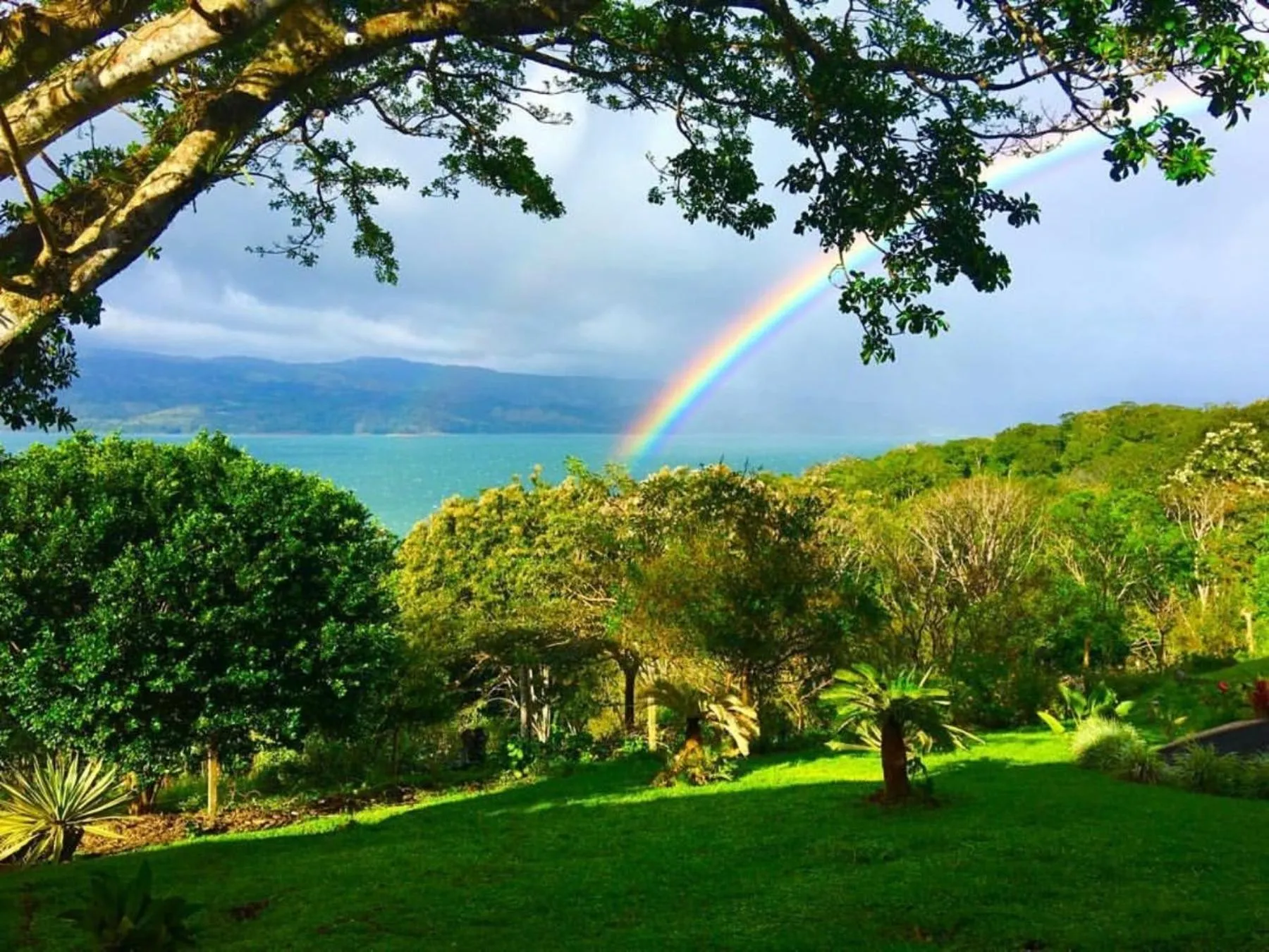 Natural landscape in Lake Arenal Hotel, Brewery & Farm