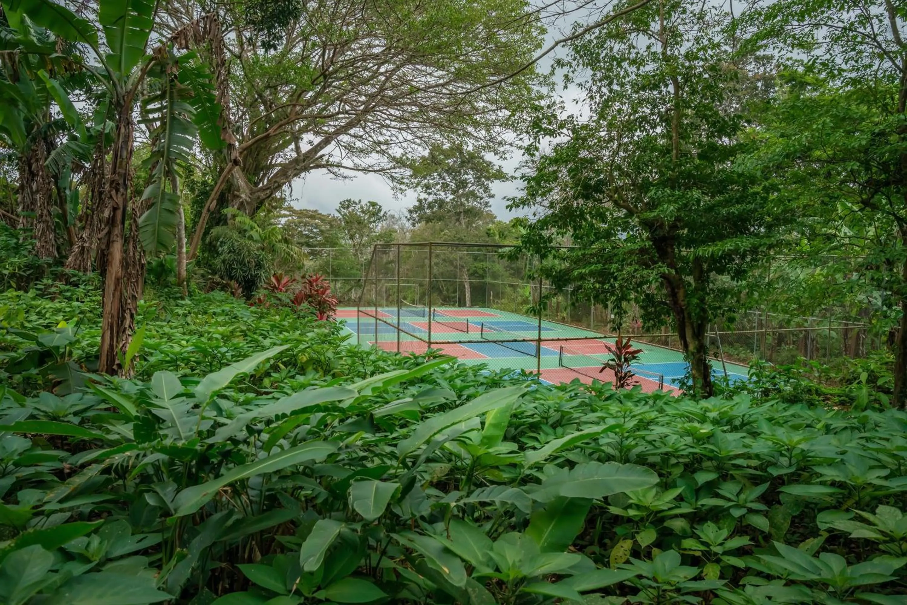 Garden in Lake Arenal Hotel, Brewery & Farm