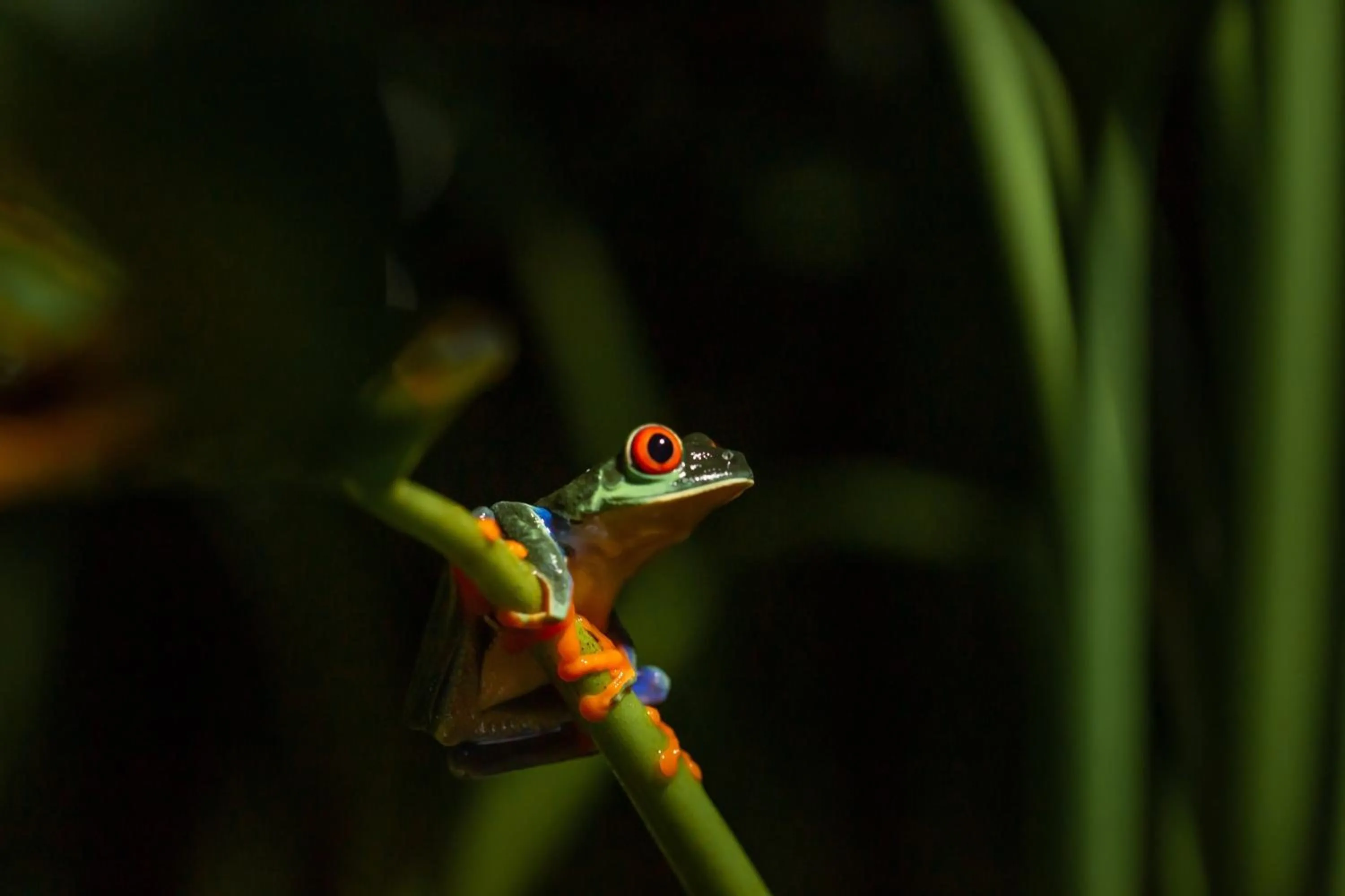 Other in Lake Arenal Hotel, Brewery & Farm