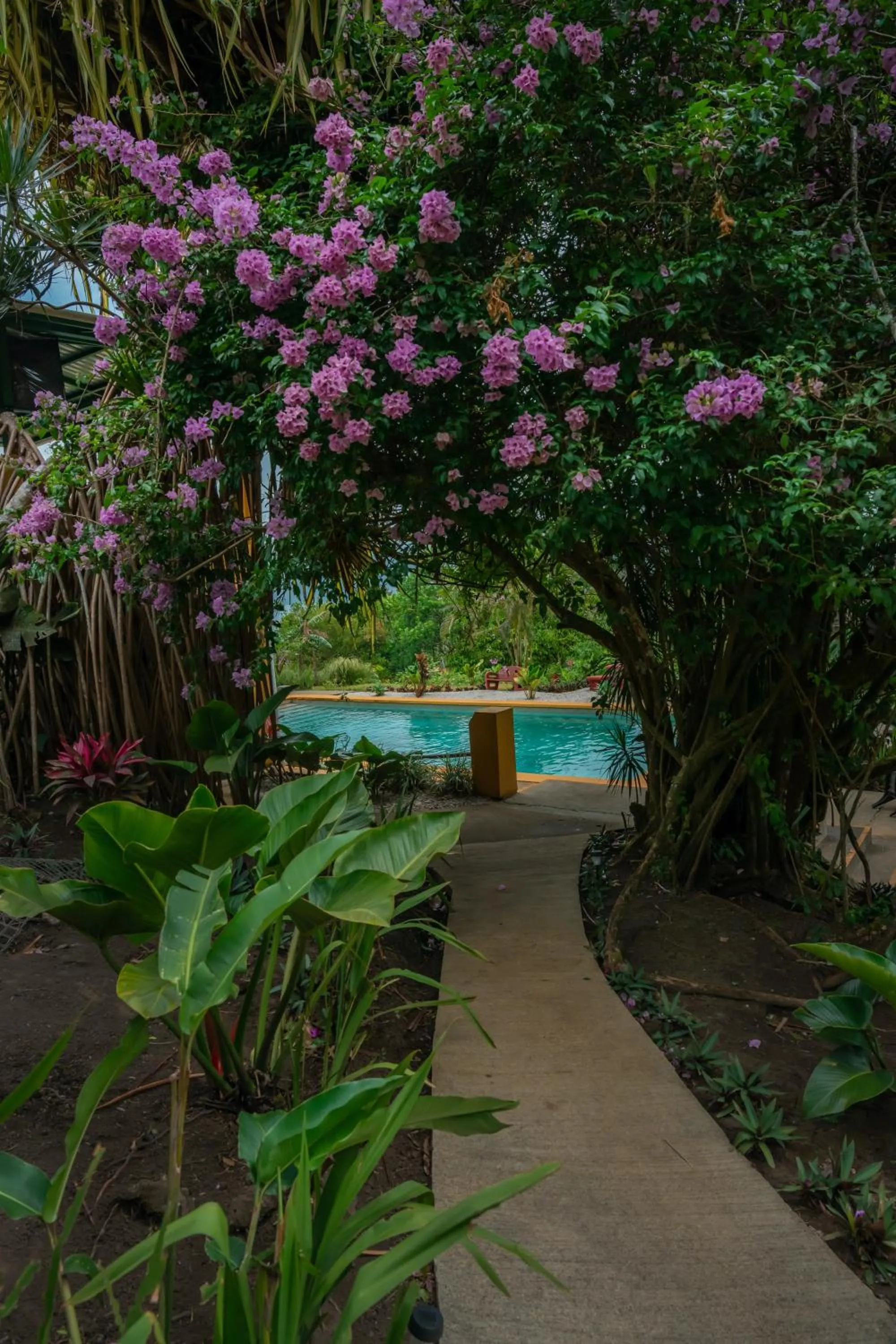Garden in Lake Arenal Hotel, Brewery & Farm