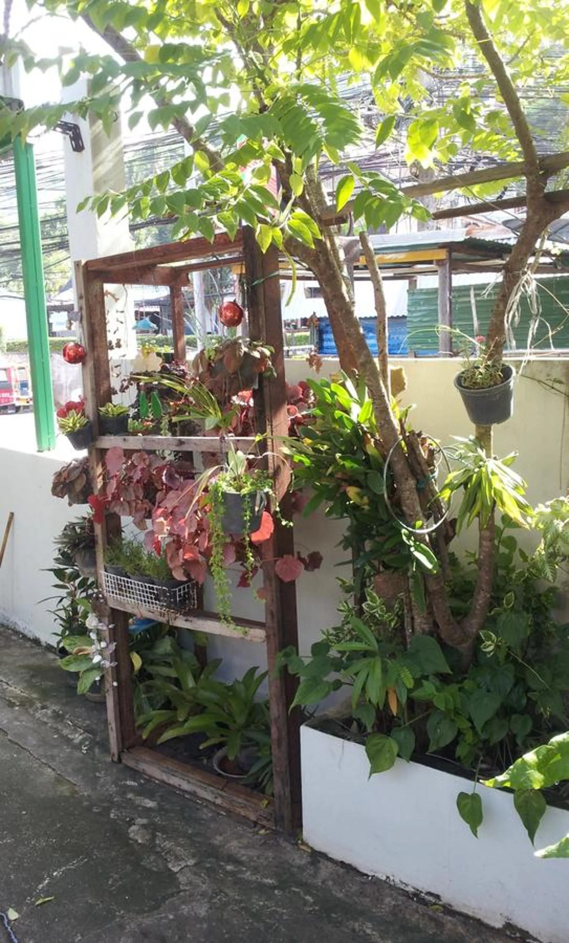 Day in Nan Inn Bungalow