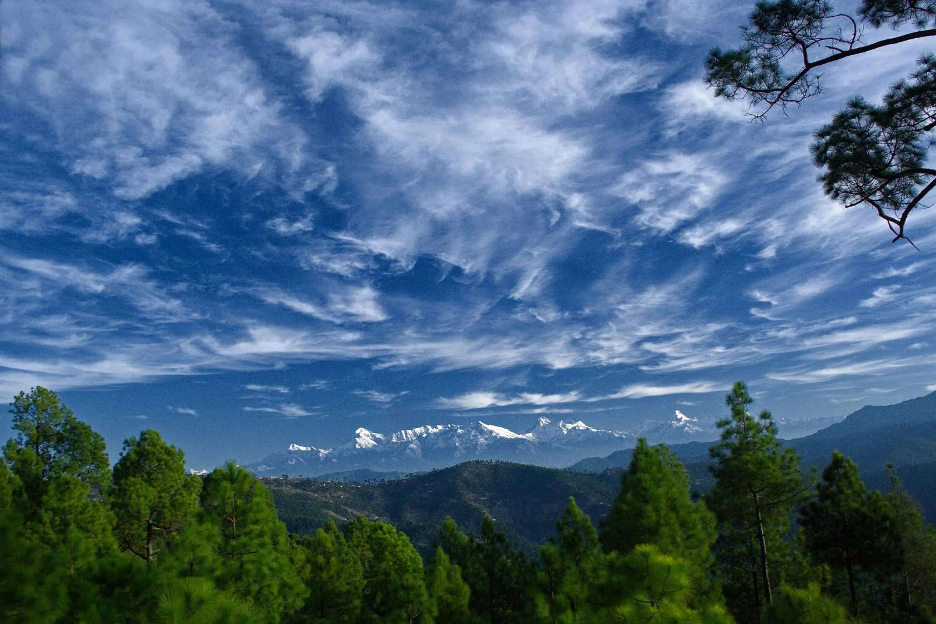 Day in Woodsvilla Resort Ranikhet