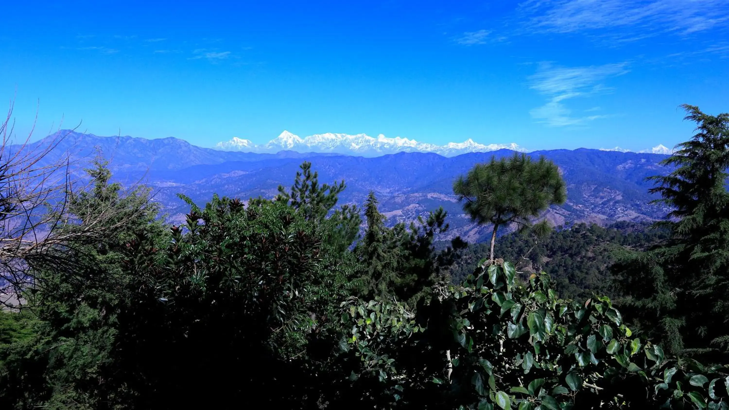 Mountain view in Woodsvilla Resort Ranikhet Mountain view in Woodsvilla Resort Ranikhet