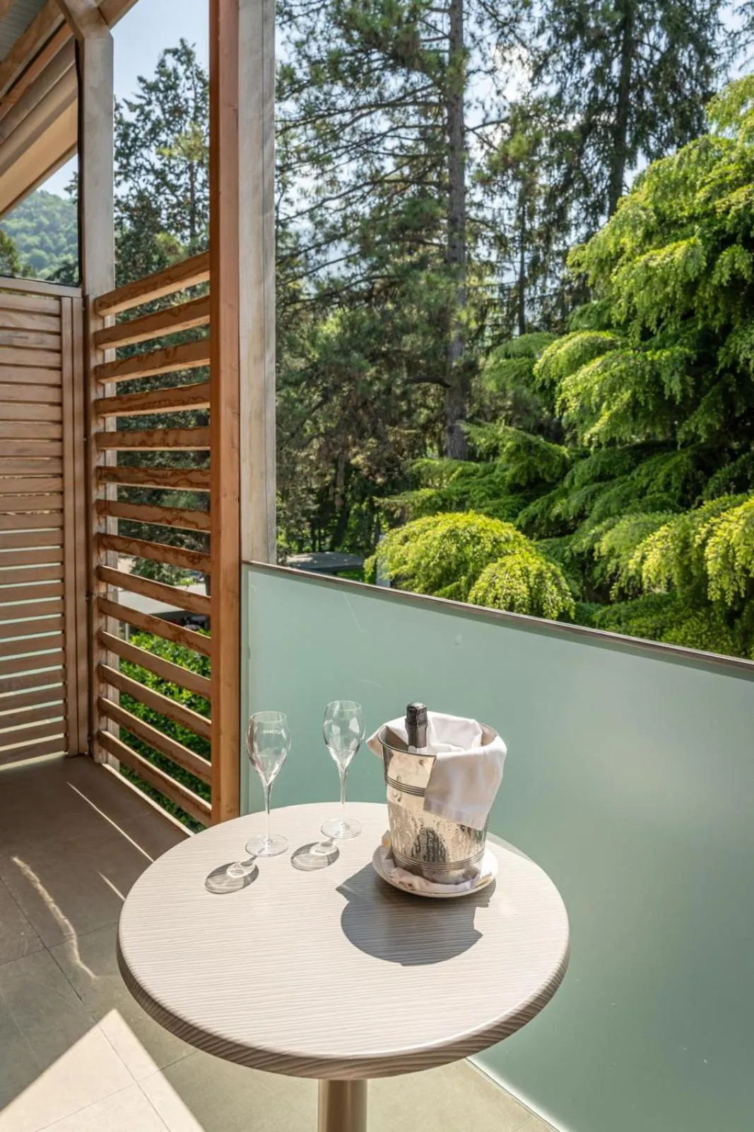 Balcony/Terrace in Hotel Villa Madruzzo