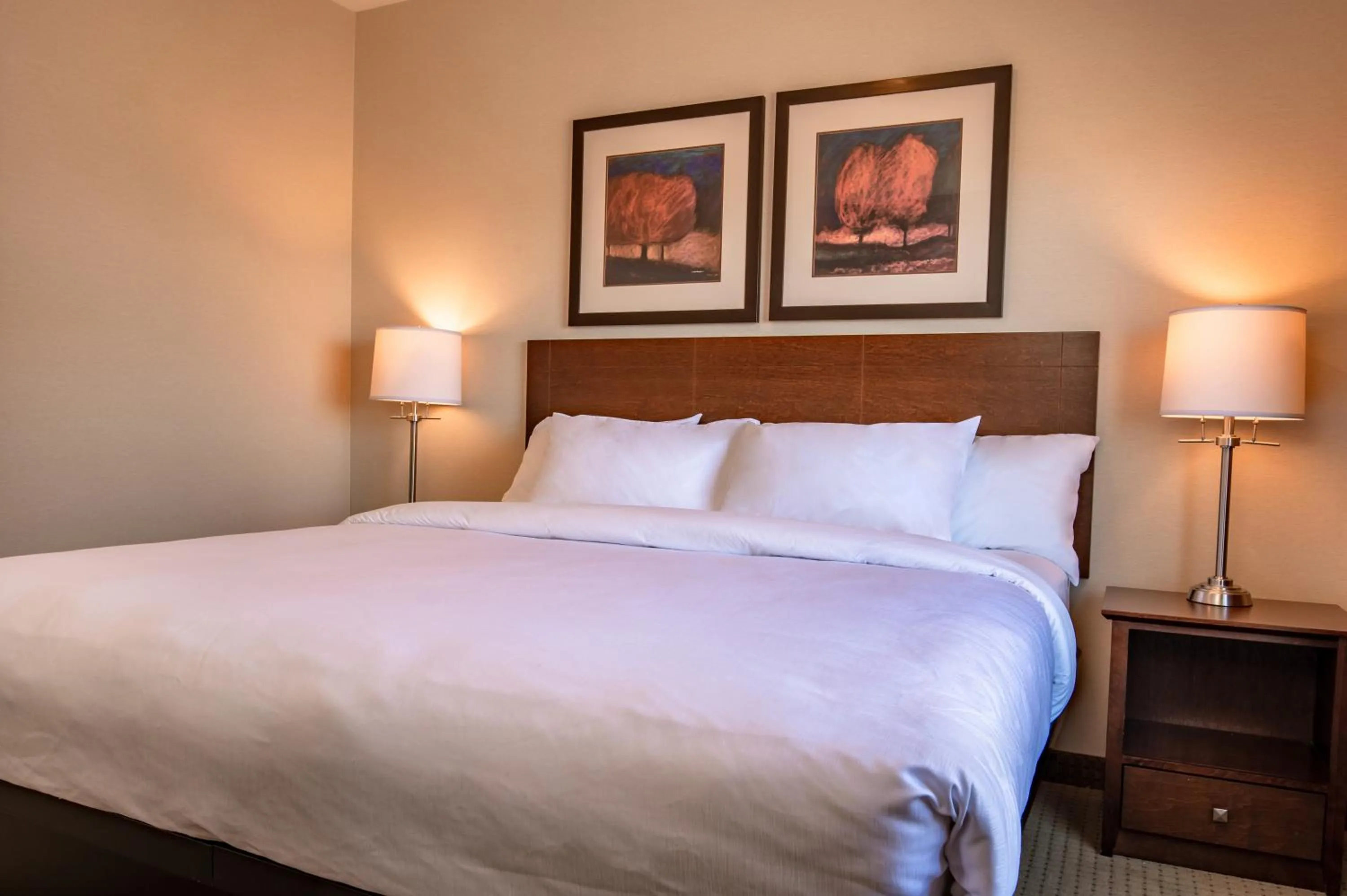 Deluxe King Room in Canalta High River
