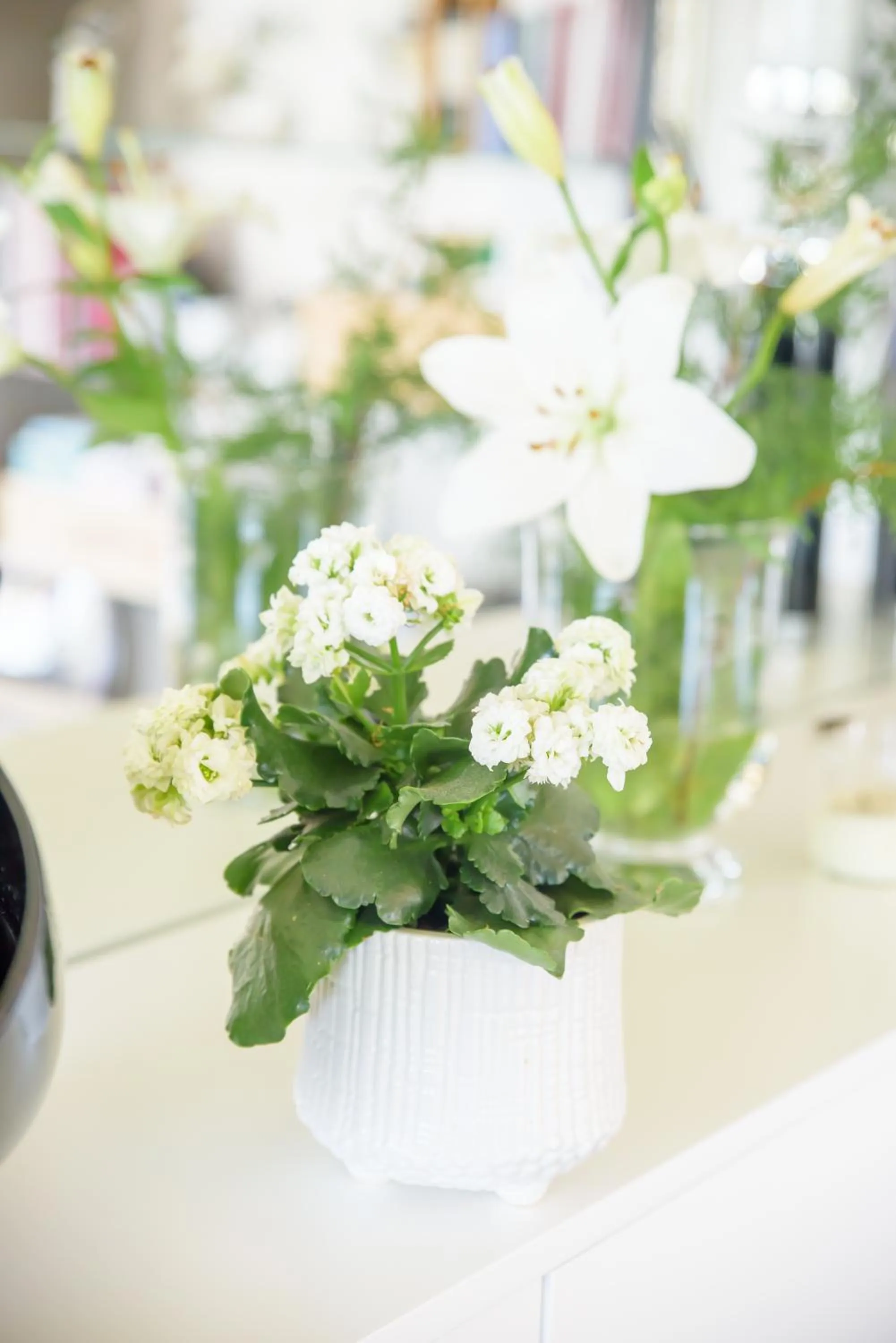 Decorative detail in Quinta Do Bosque