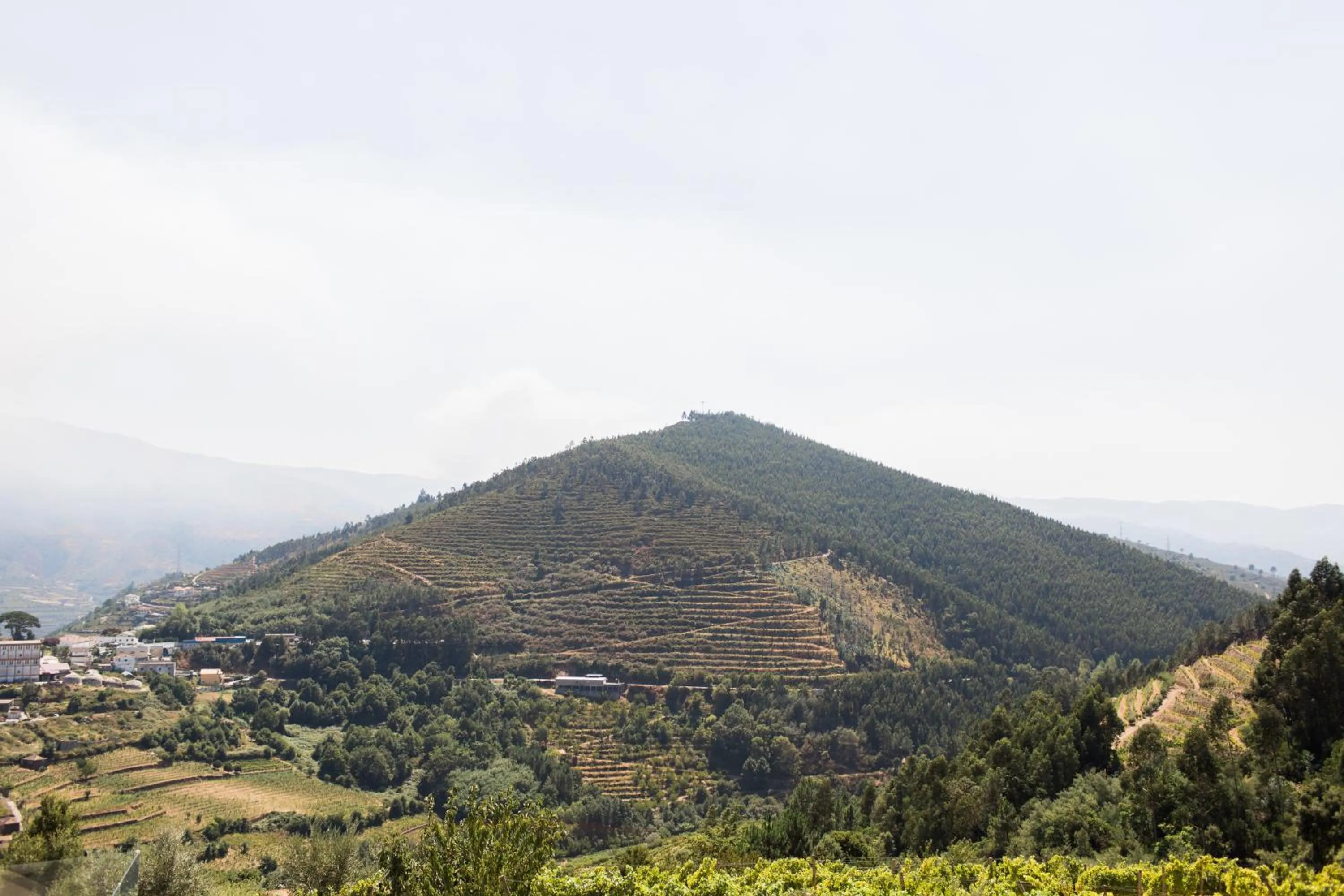 Day in Quinta Do Bosque