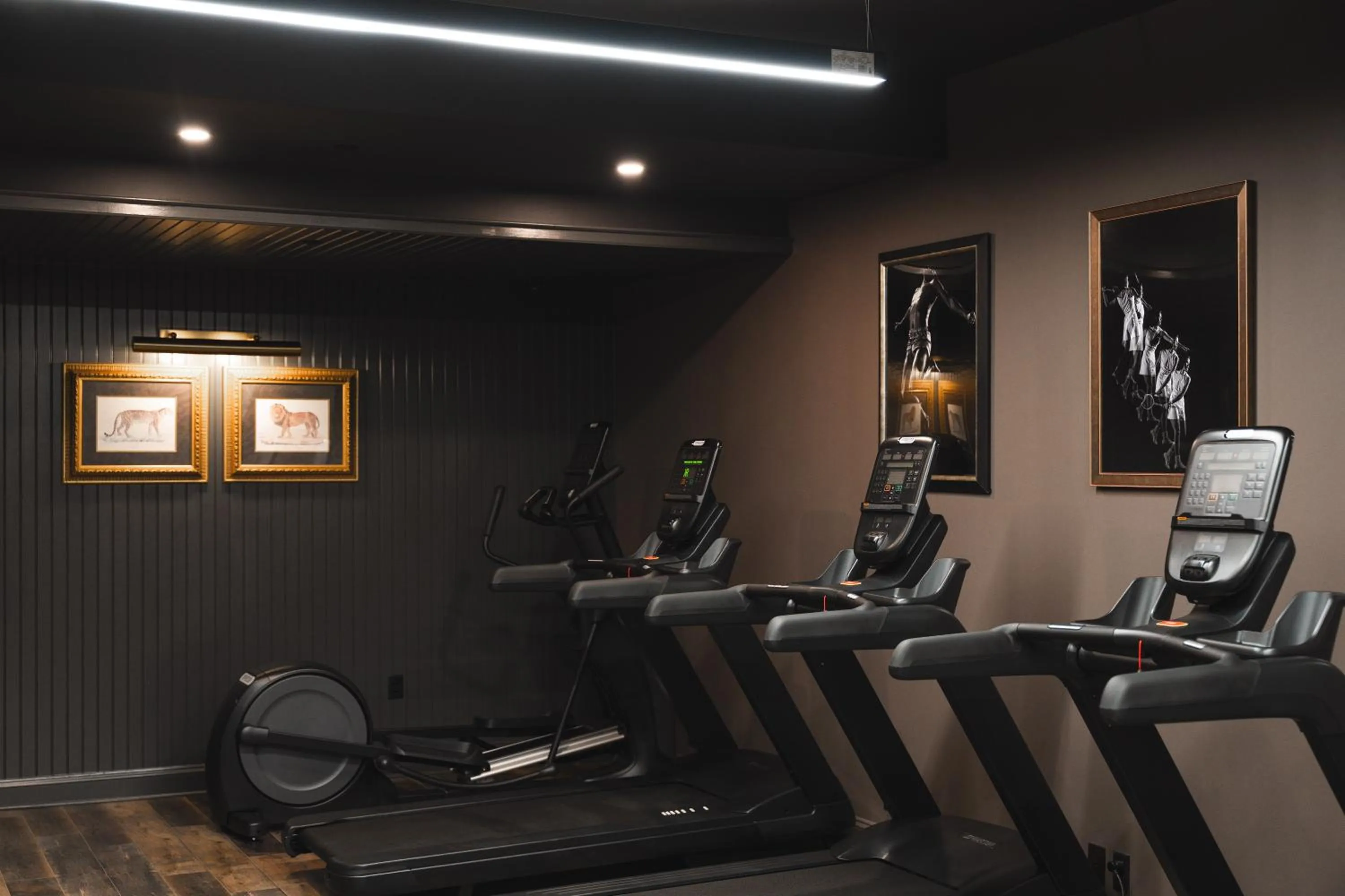 Fitness centre/facilities in Hotel Burg
