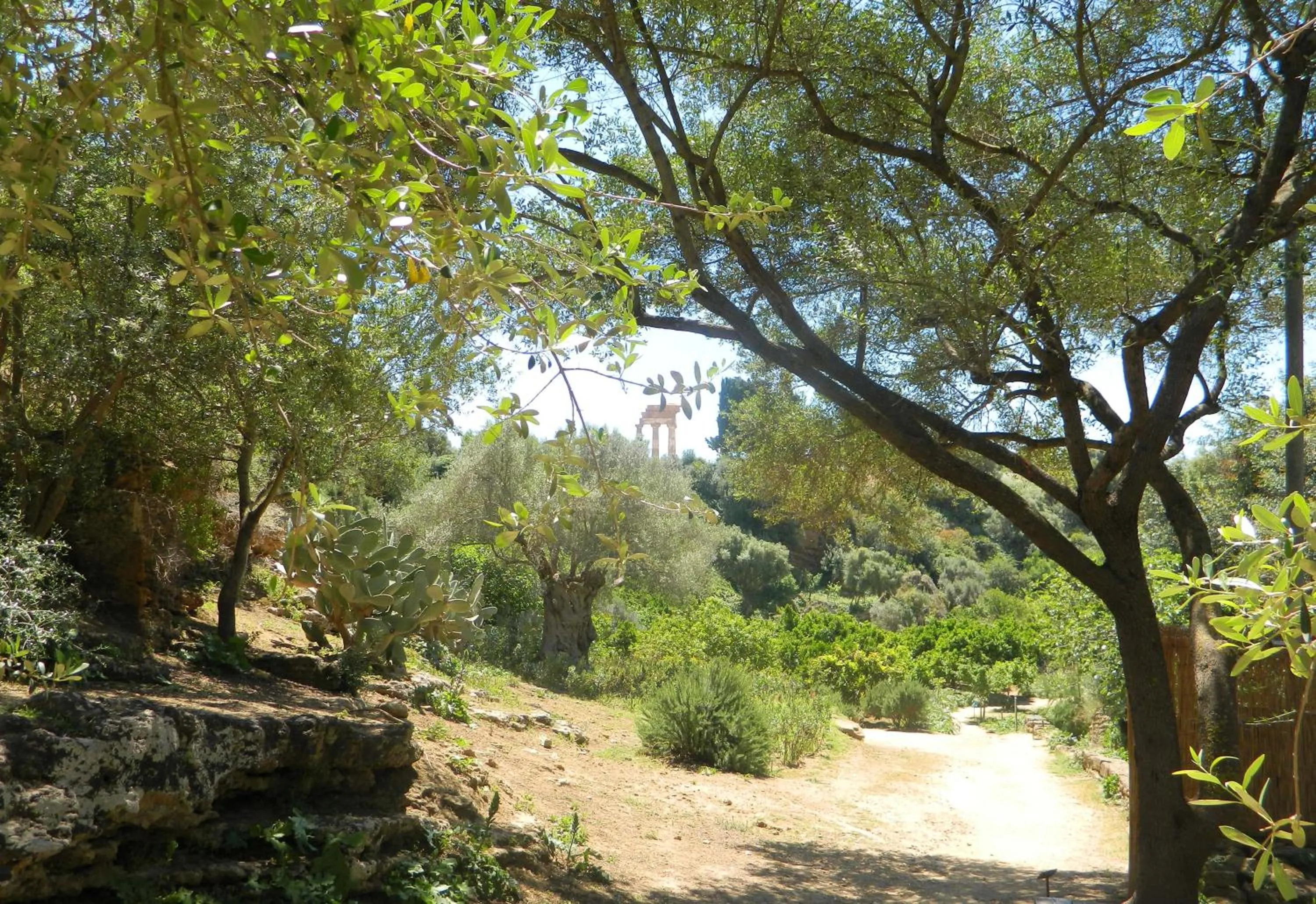 Off site in B&B San Leone